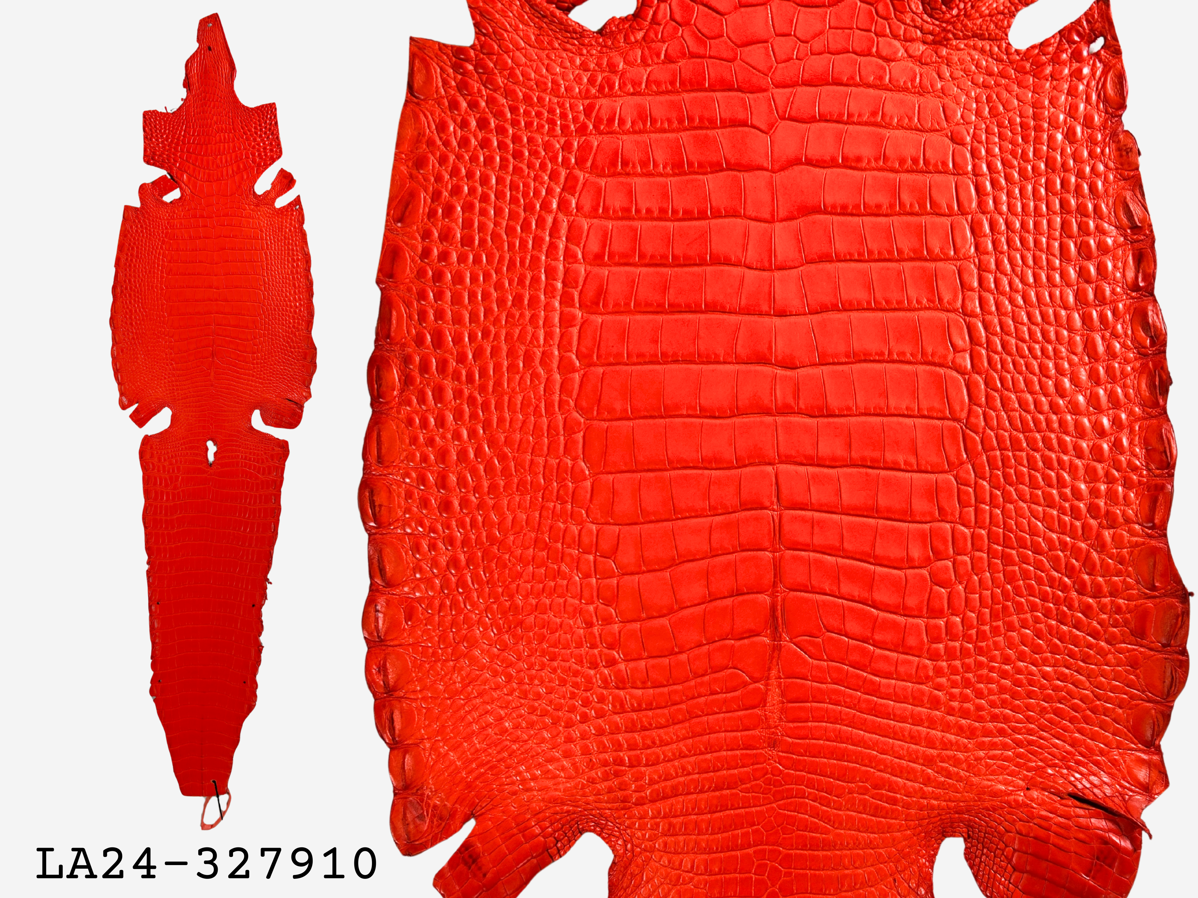 Alligator Leather Hide - Orange