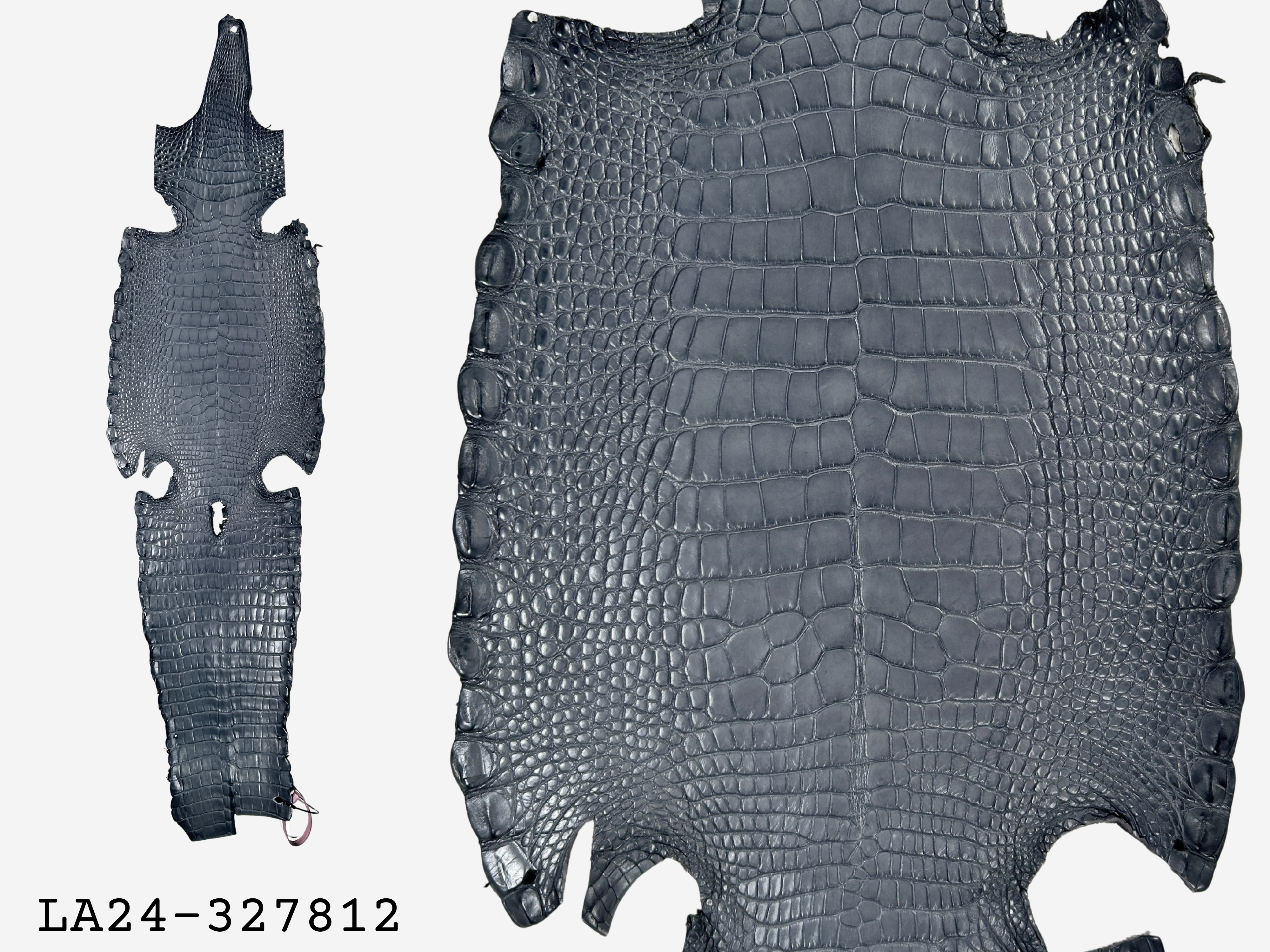 Alligator Leather Hide - Grey