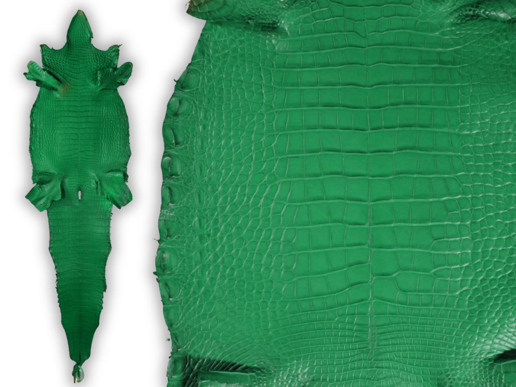 Alligator Leather Hide - Green
