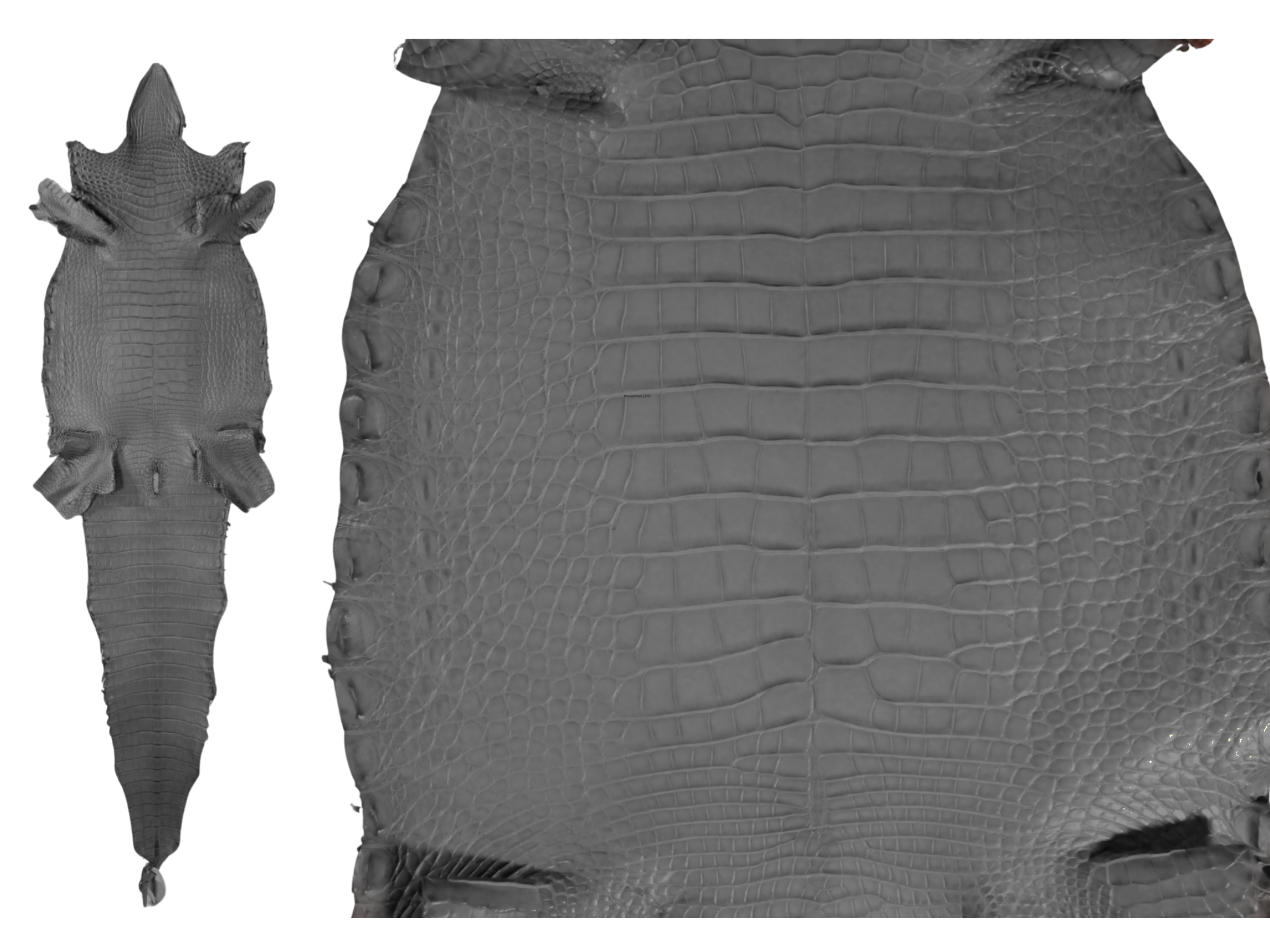 Alligator Leather Hide - Gray