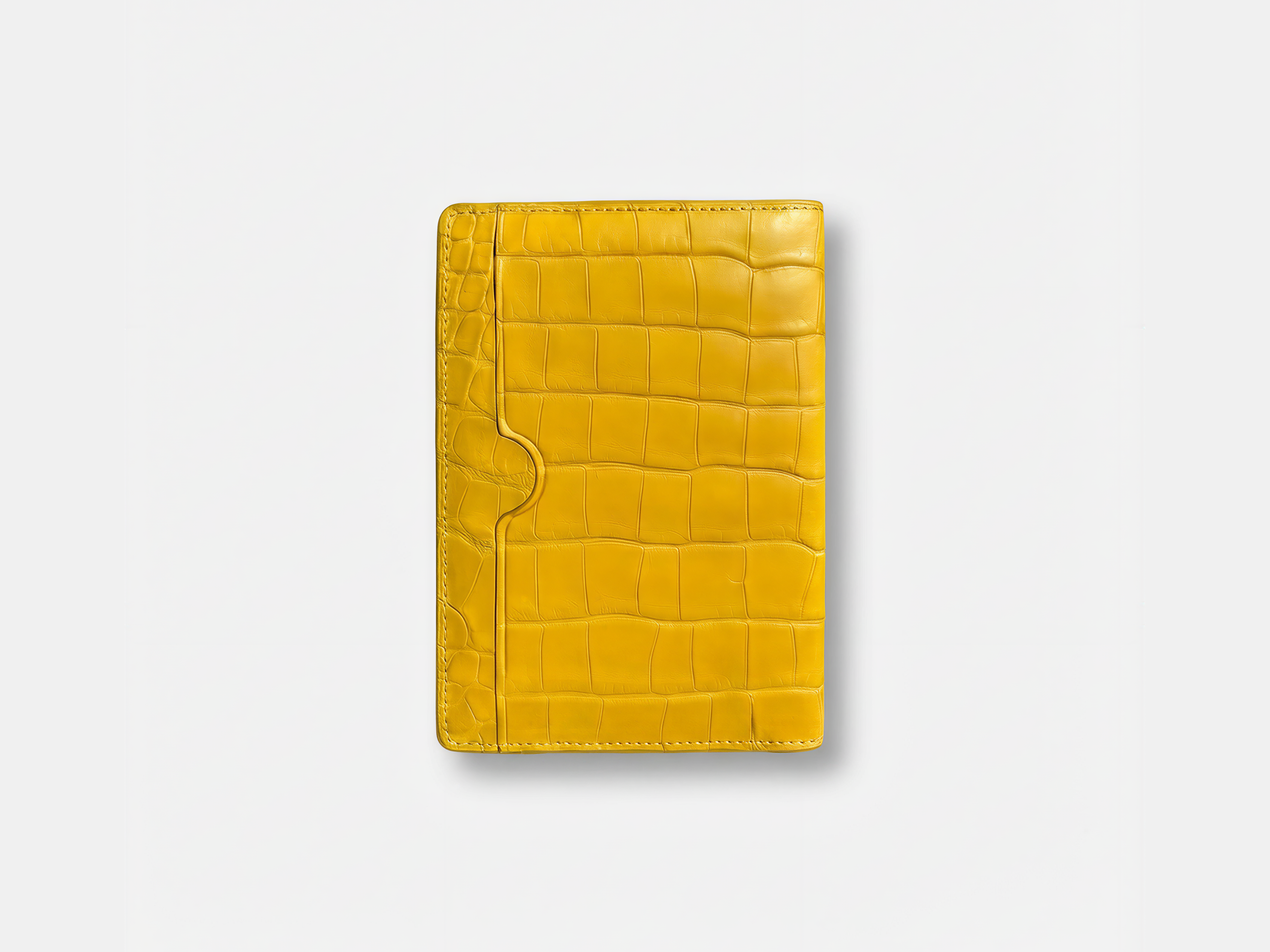 Passport Cover