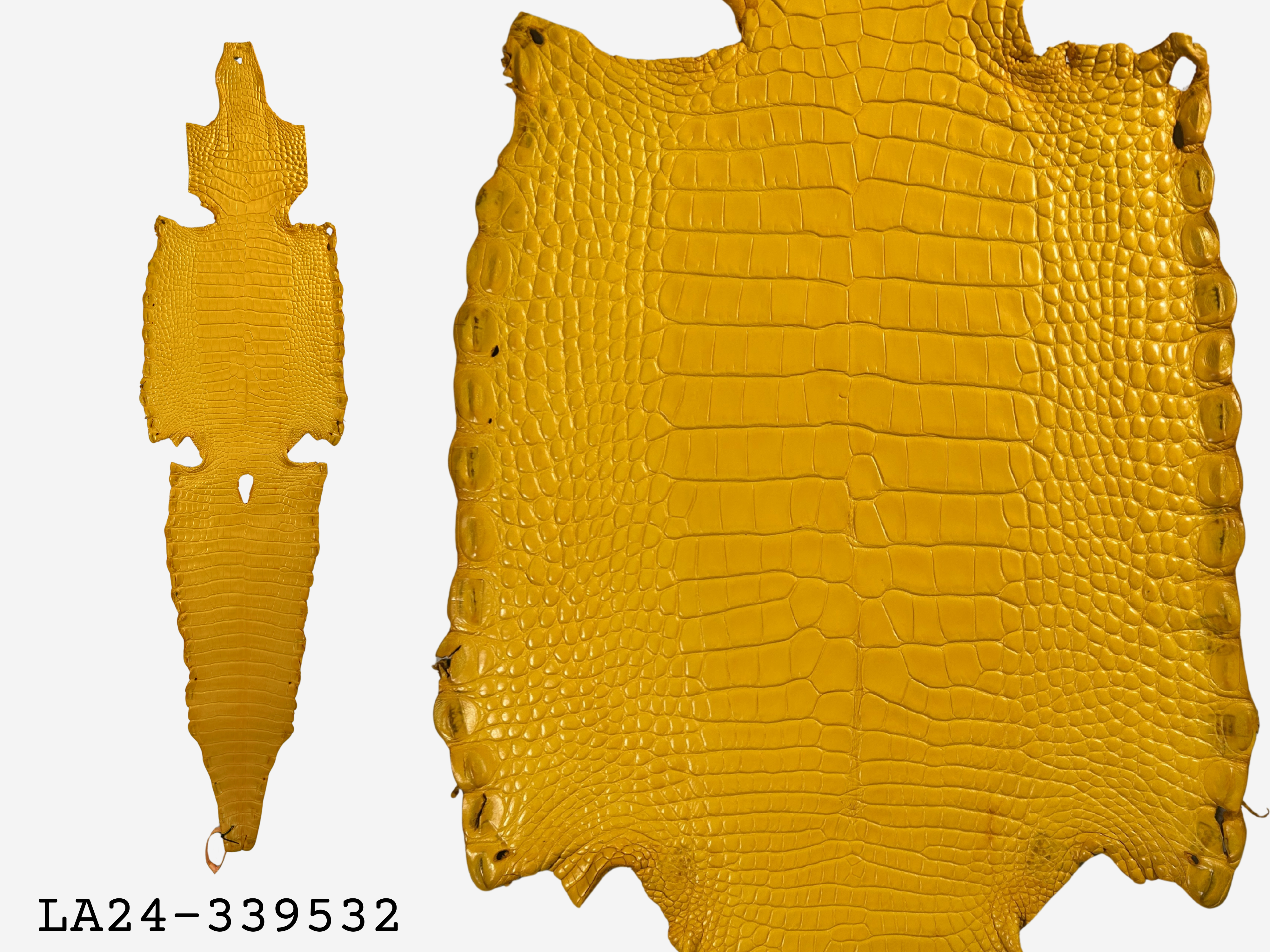 Alligator Leather Hide - Yellow