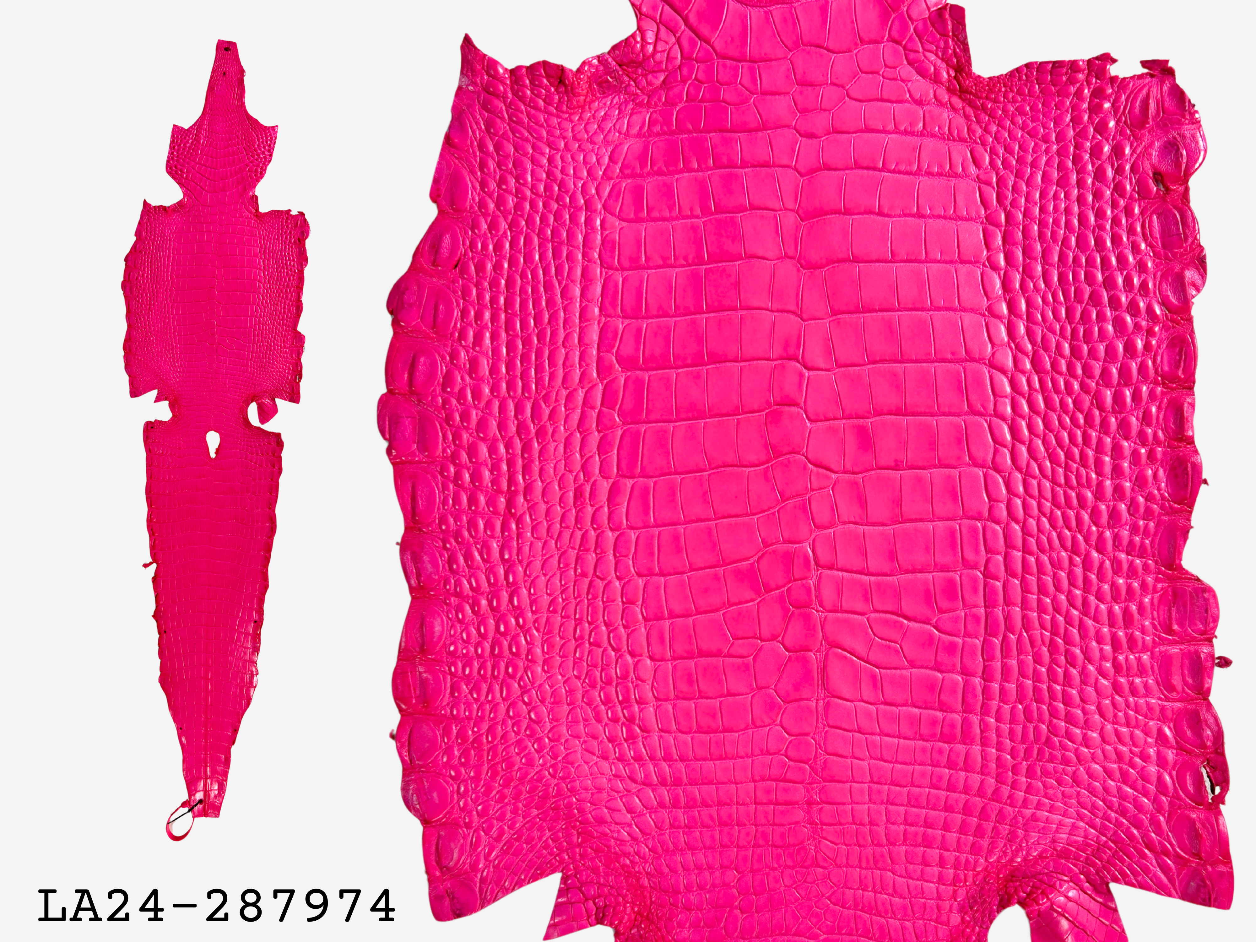 Alligator Leather Hide - Pink