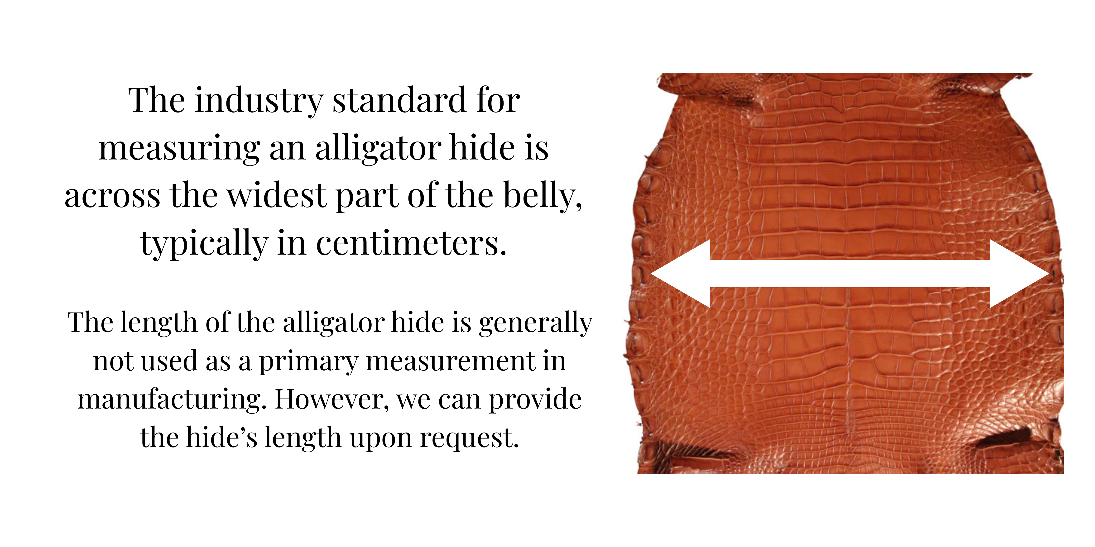 Alligator Leather Hide - Cognac