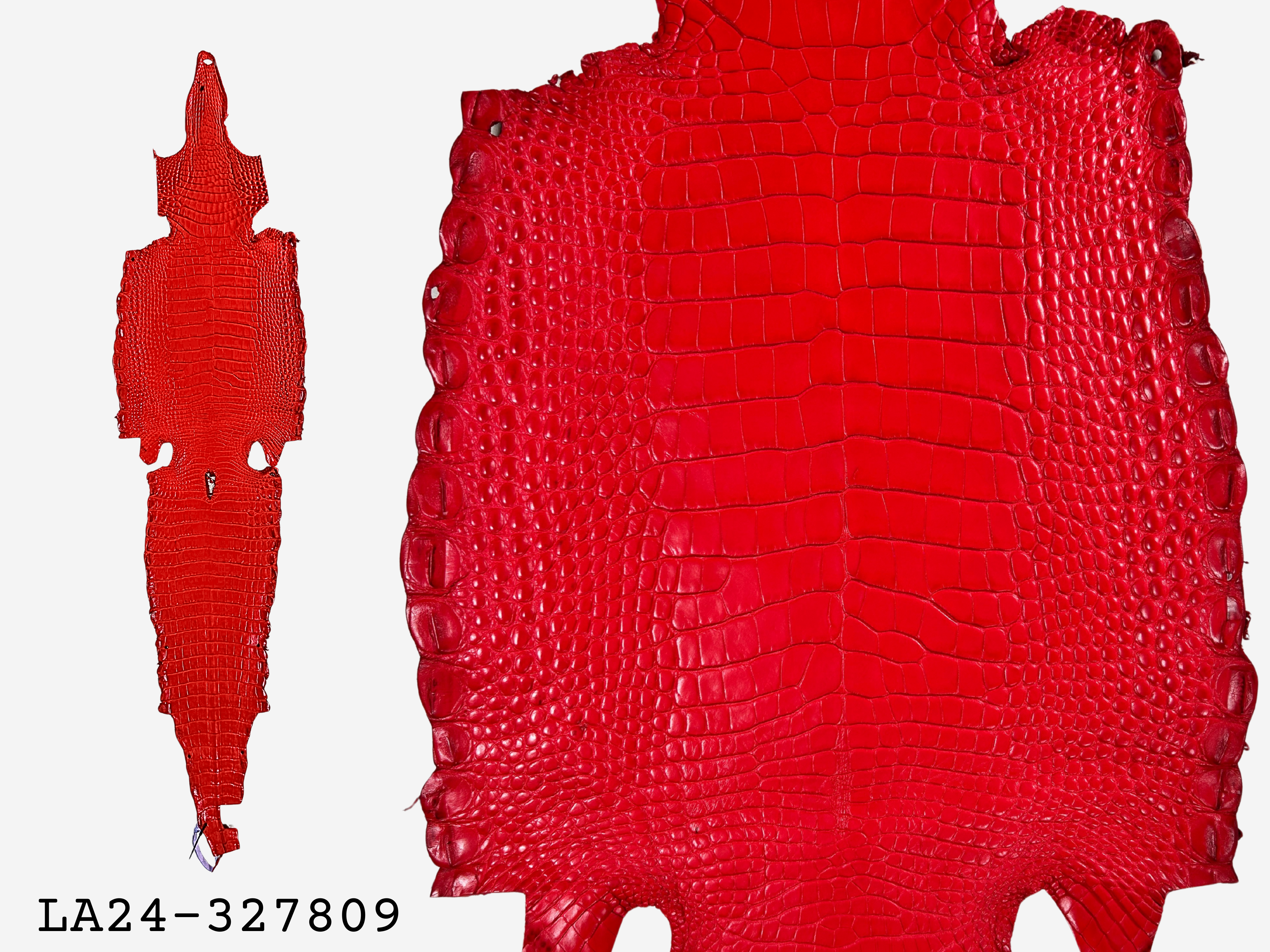 Alligator Leather Hide - Red