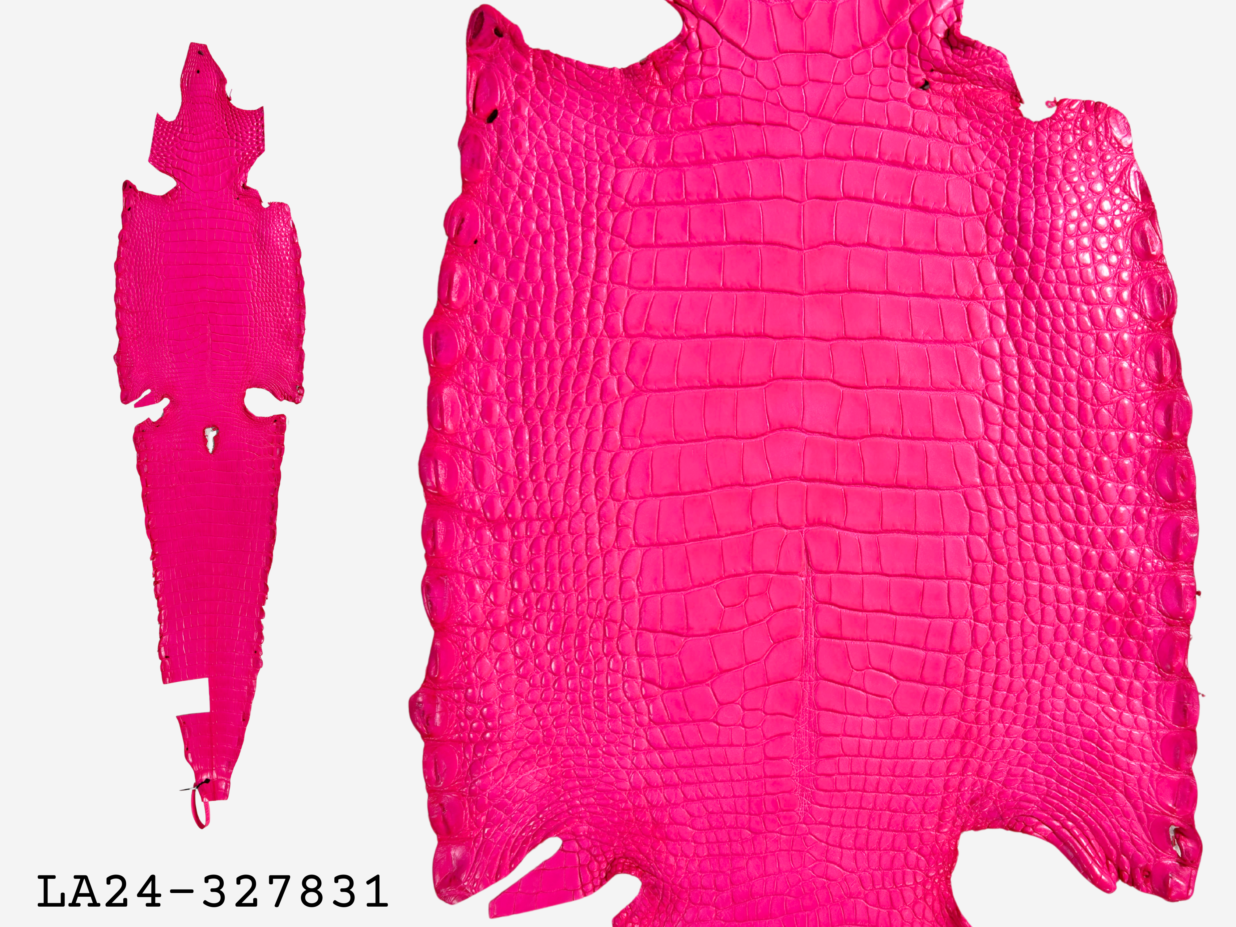 Alligator Leather Hide - Pink
