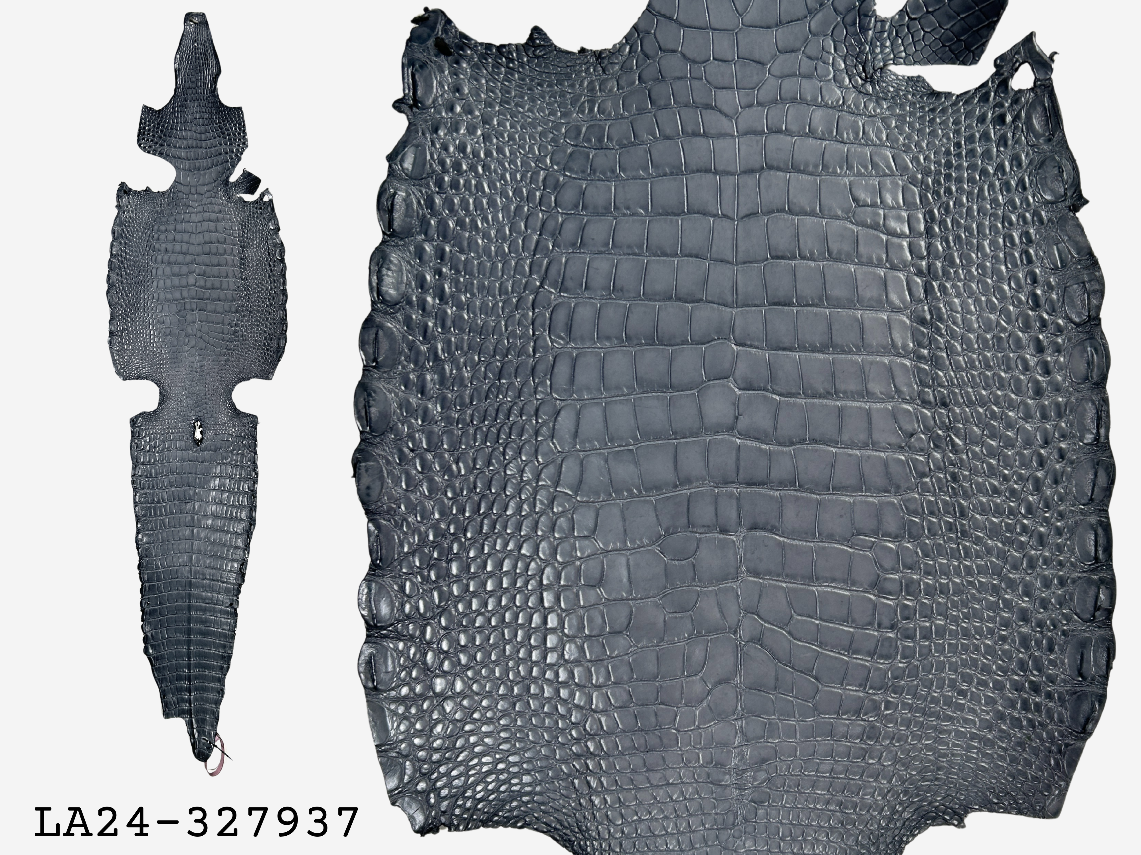 Alligator Leather Hide - Grey