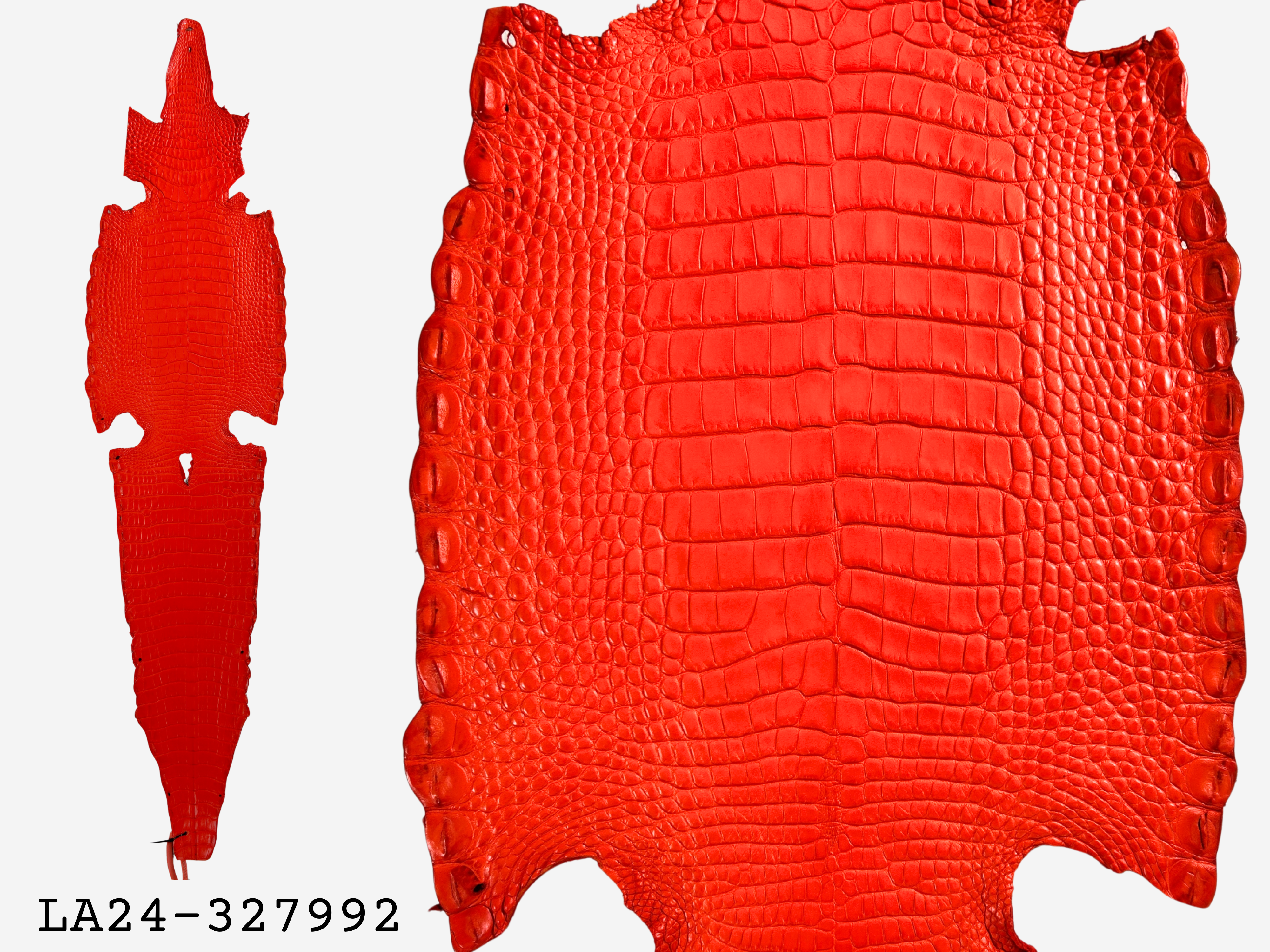 Alligator Leather Hide - Orange