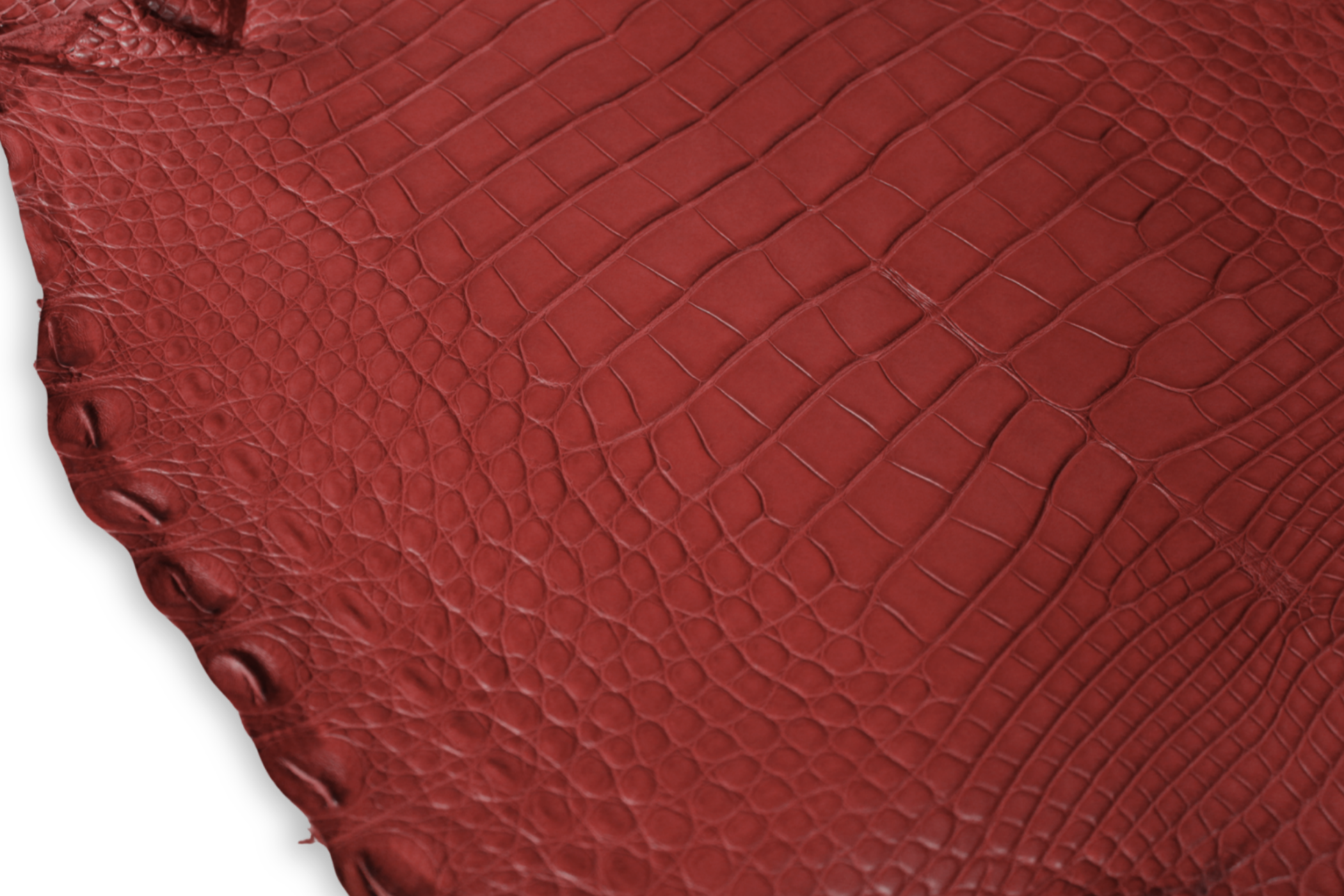 Alligator Leather Hide - Red