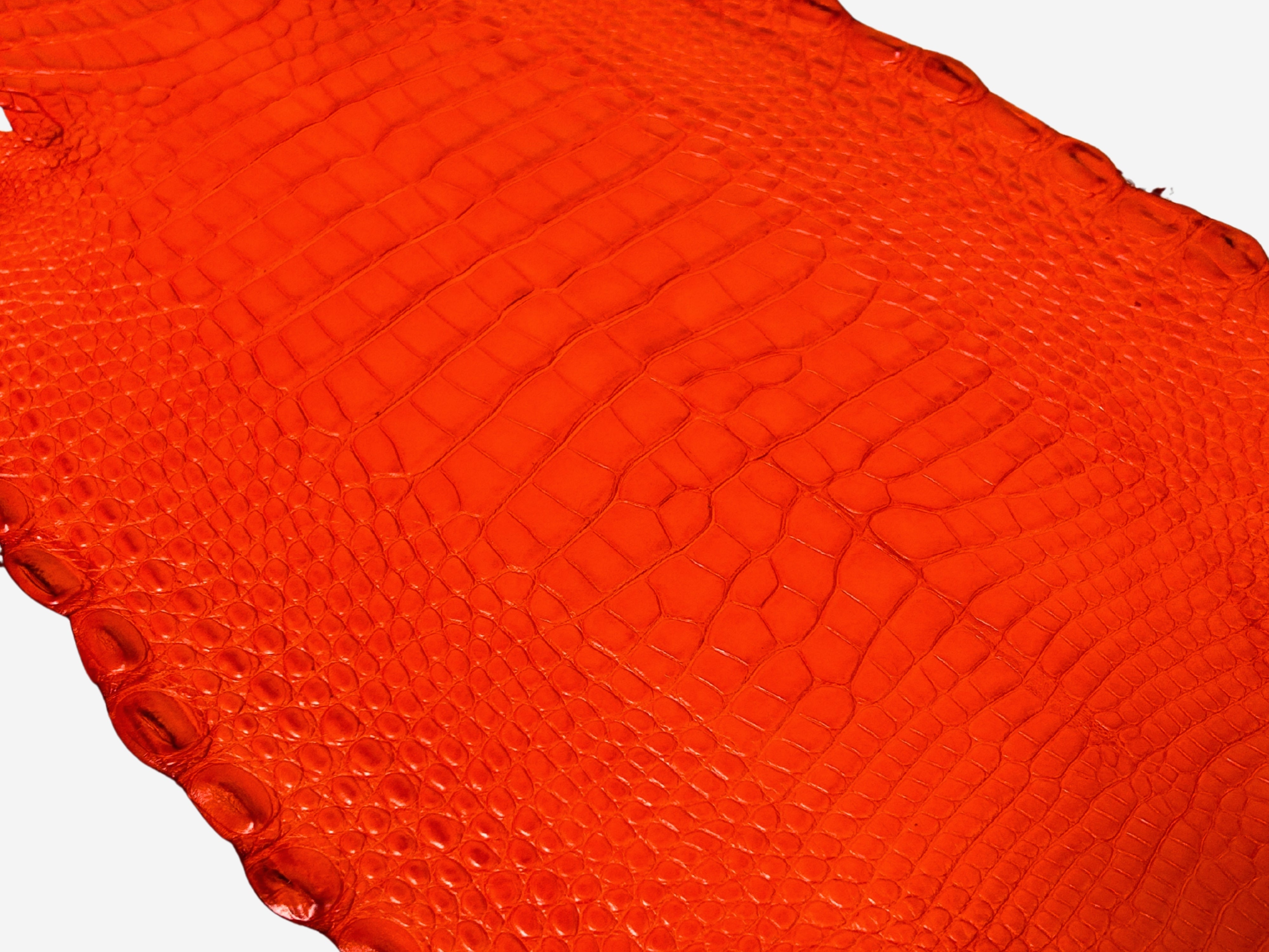 Alligator Leather Hide - Orange