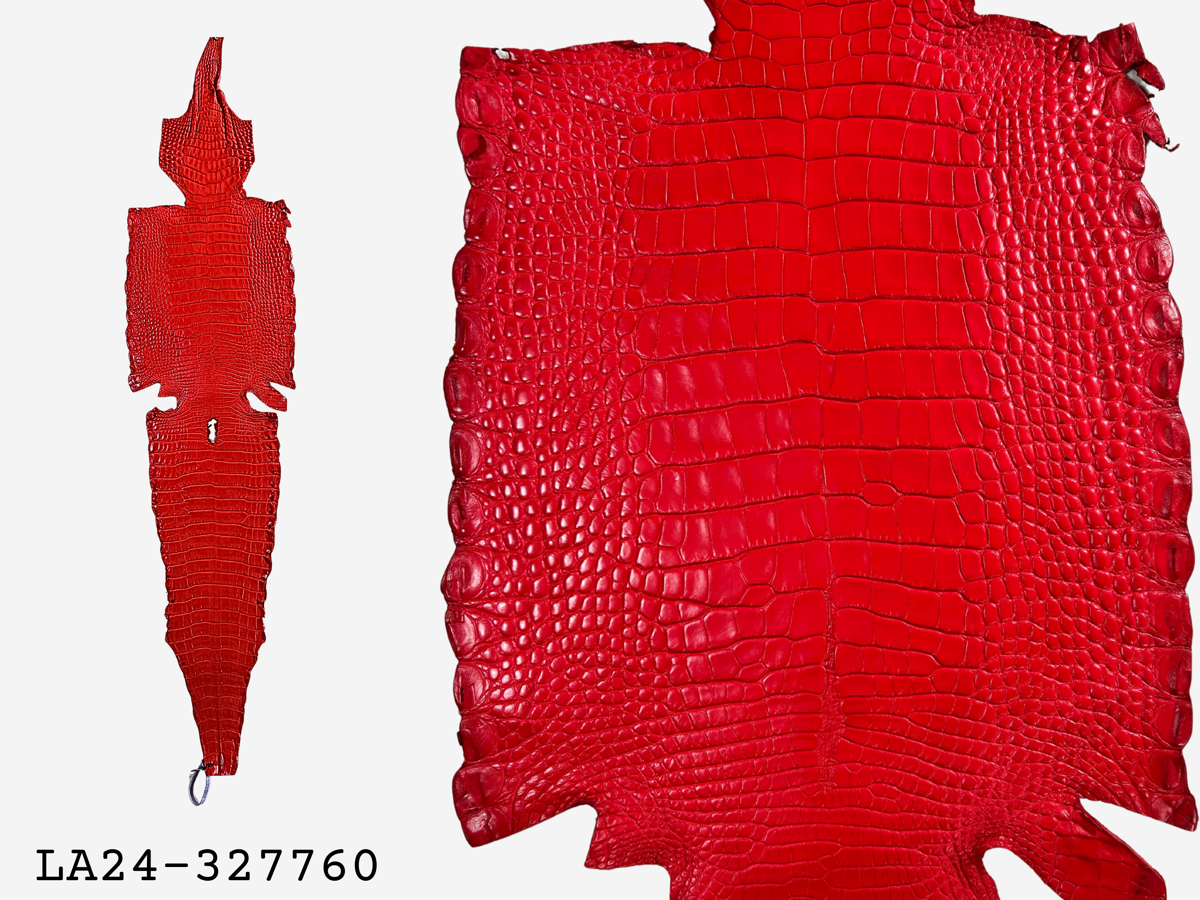 Alligator Leather Hide - Red