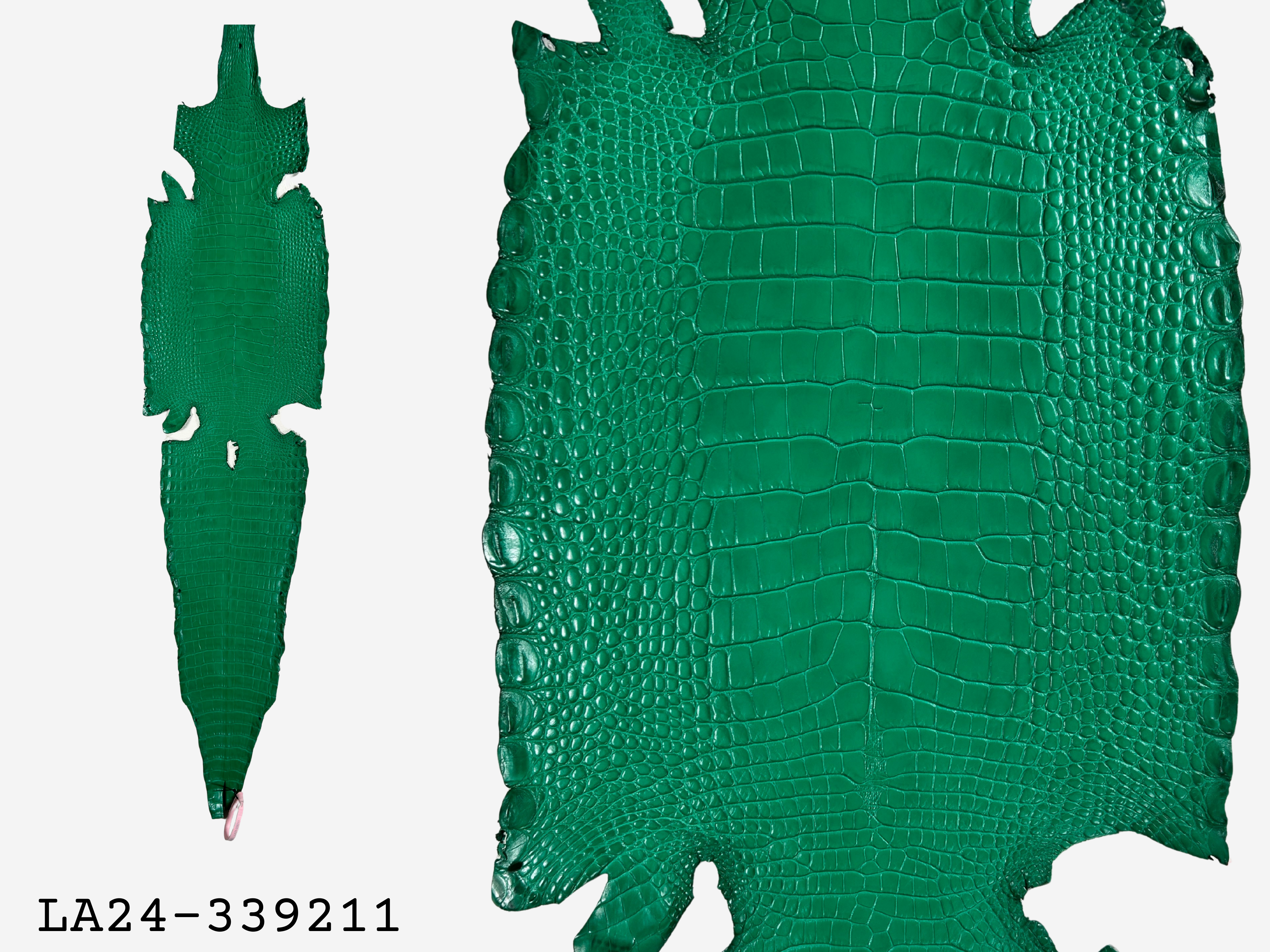 Alligator Leather Hide - Green