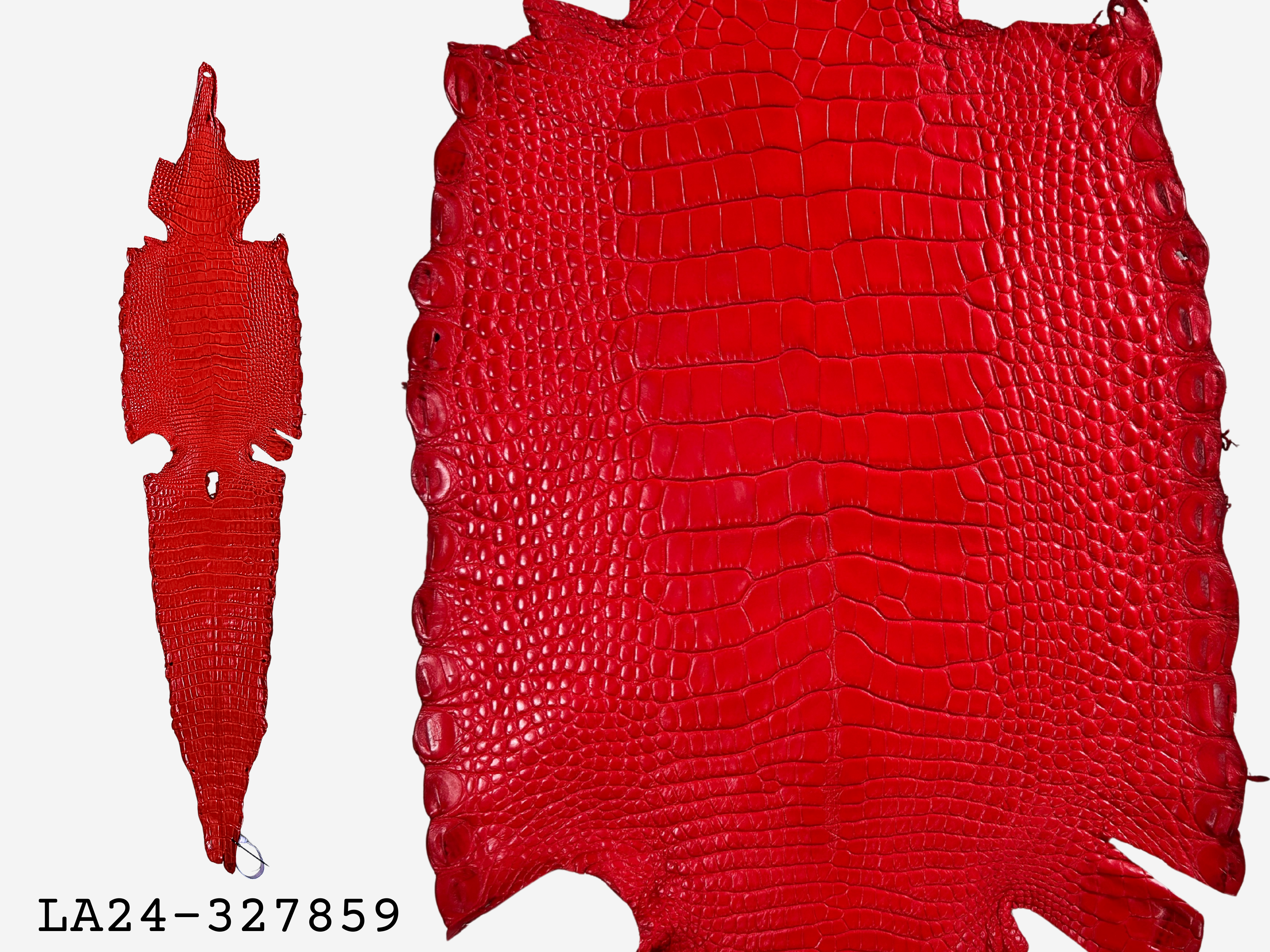Alligator Leather Hide - Red