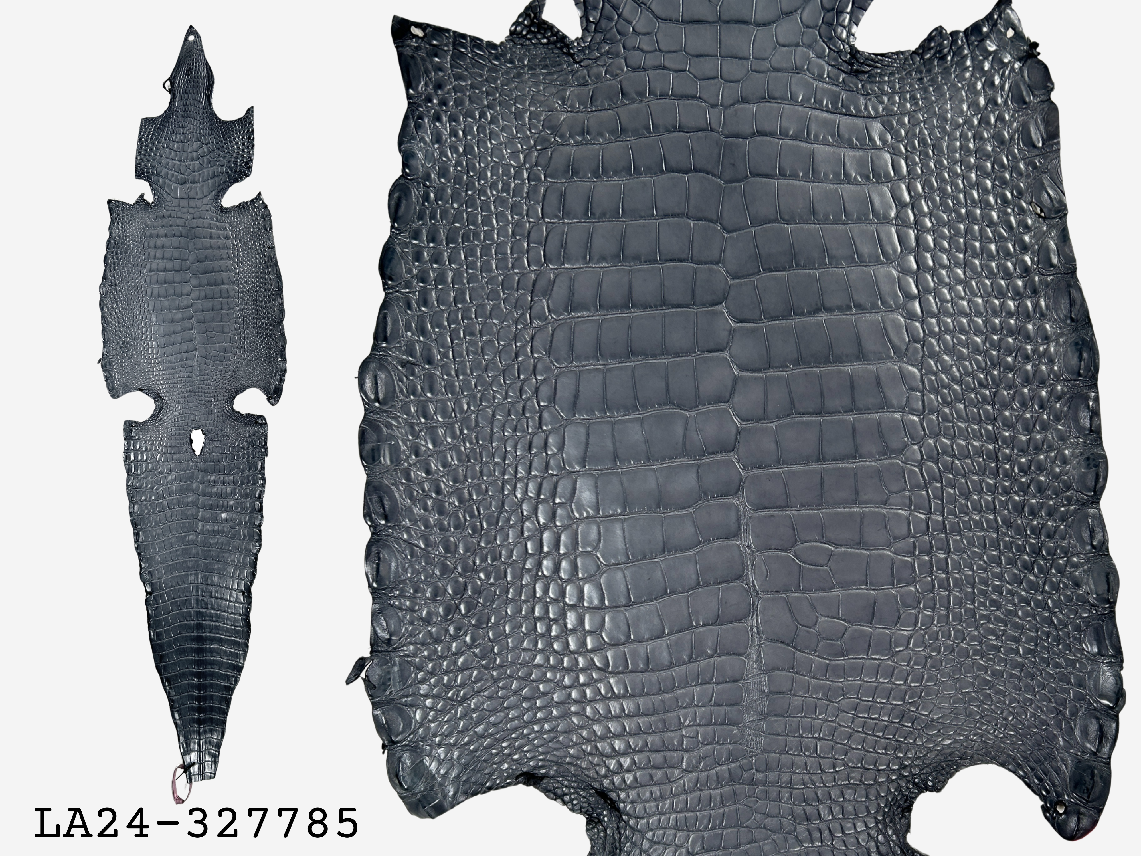 Alligator Leather Hide - Grey