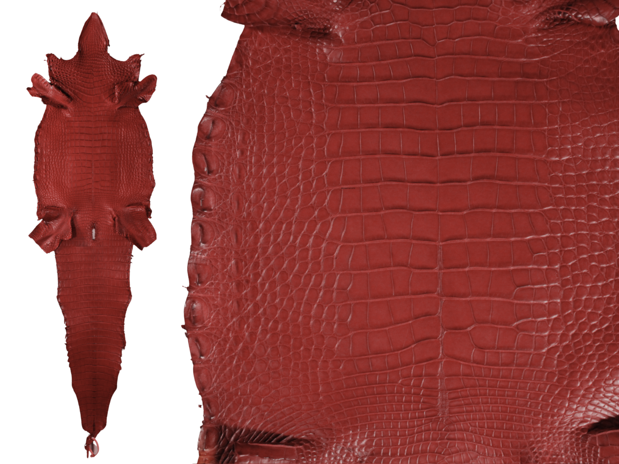 Alligator Leather Hide - Red