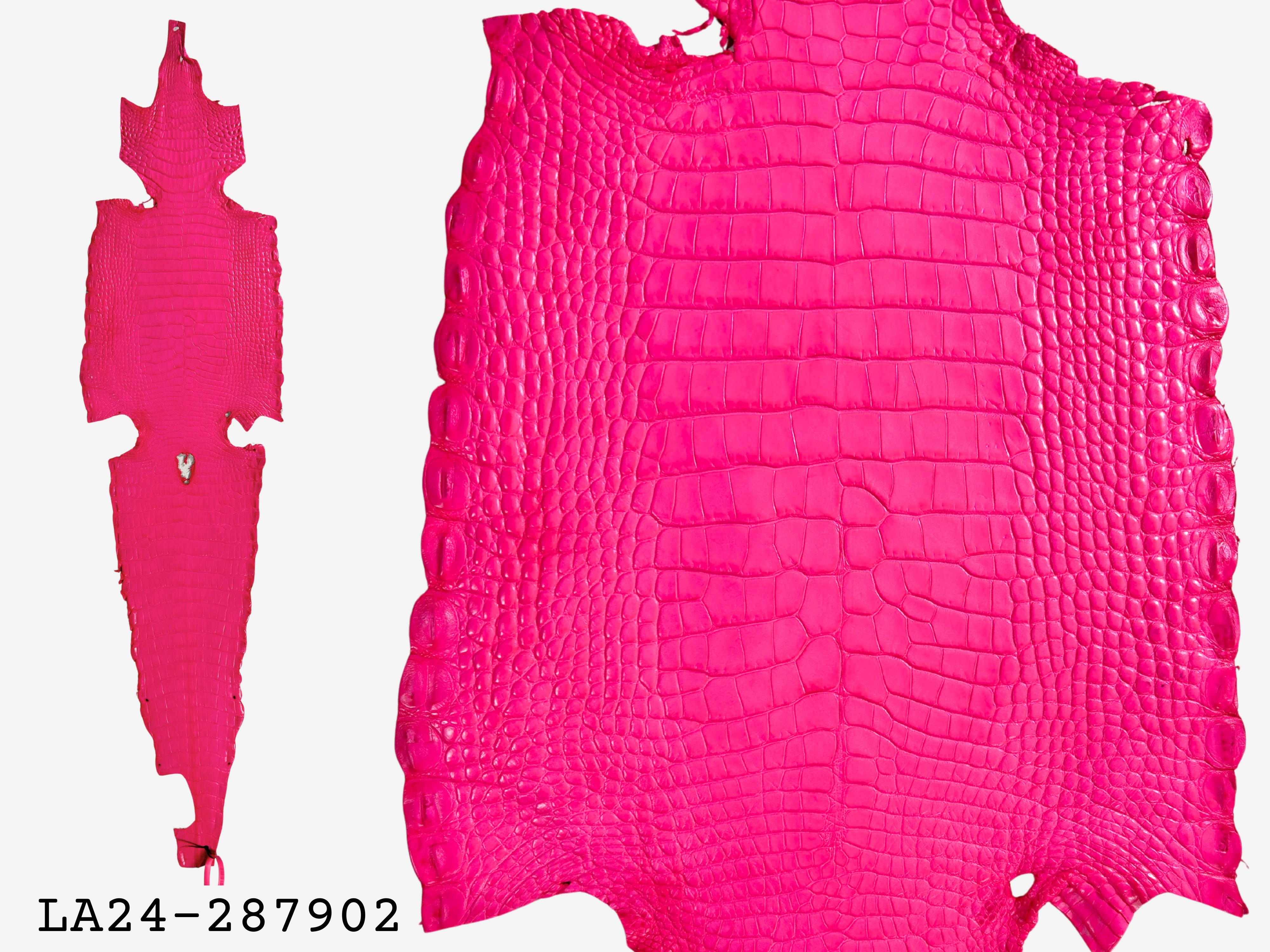 Alligator Leather Hide - Pink