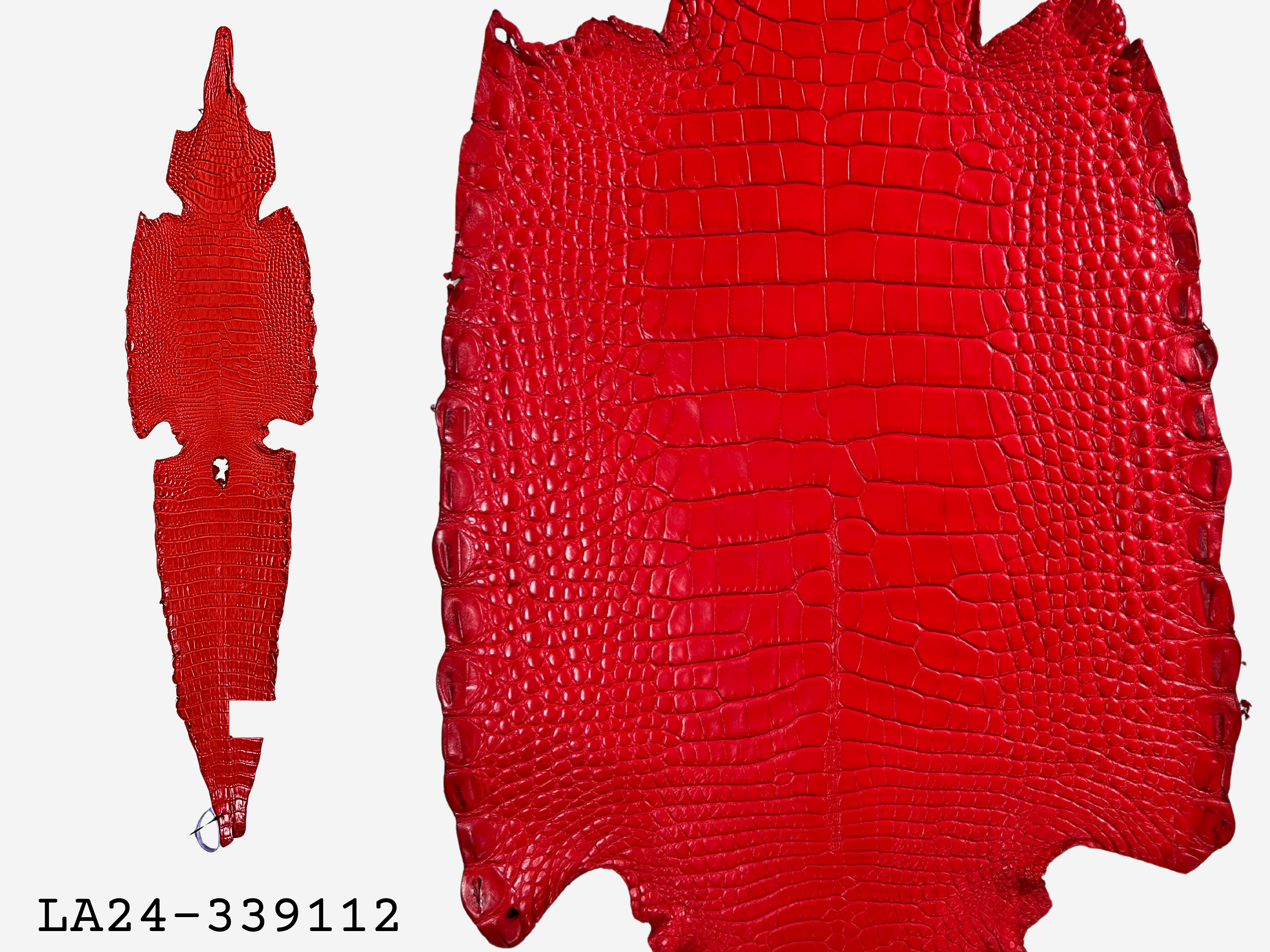 Alligator Leather Hide - Red