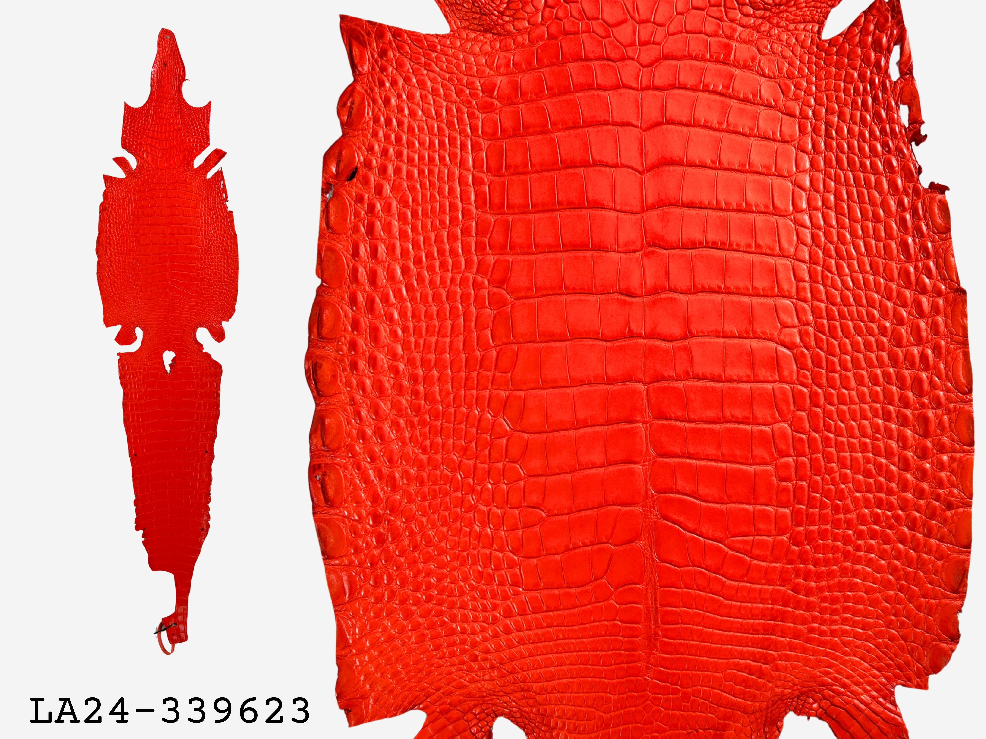 Alligator Leather Hide - Orange