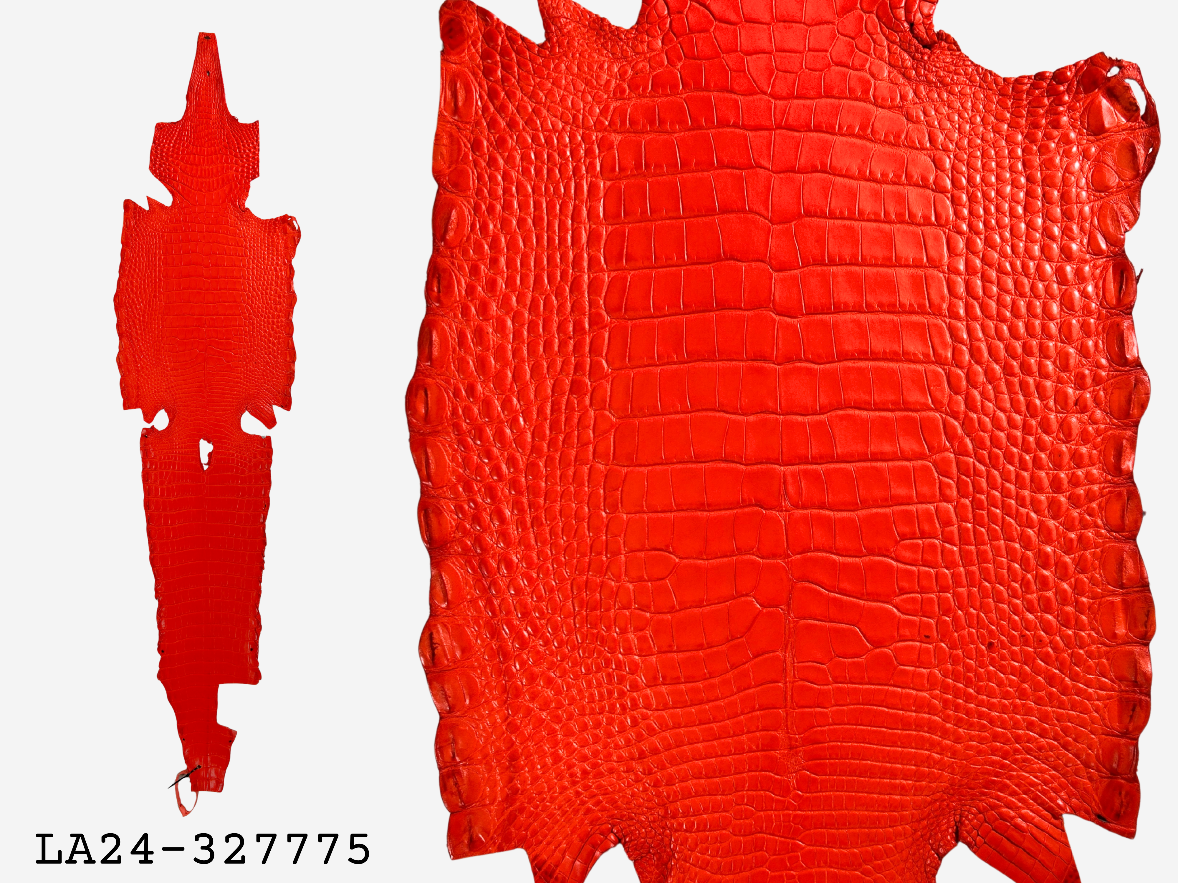 Alligator Leather Hide - Orange