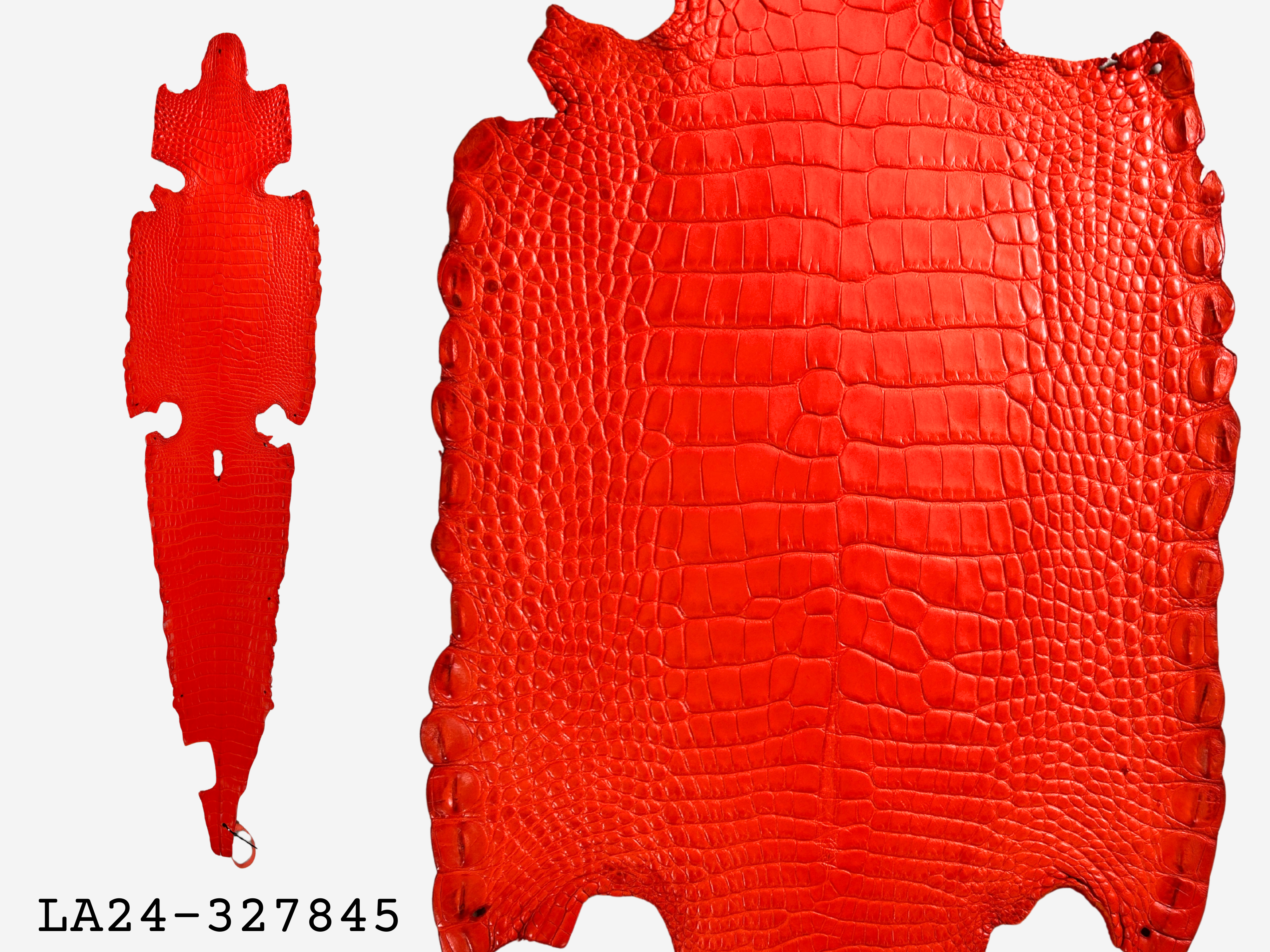 Alligator Leather Hide - Orange