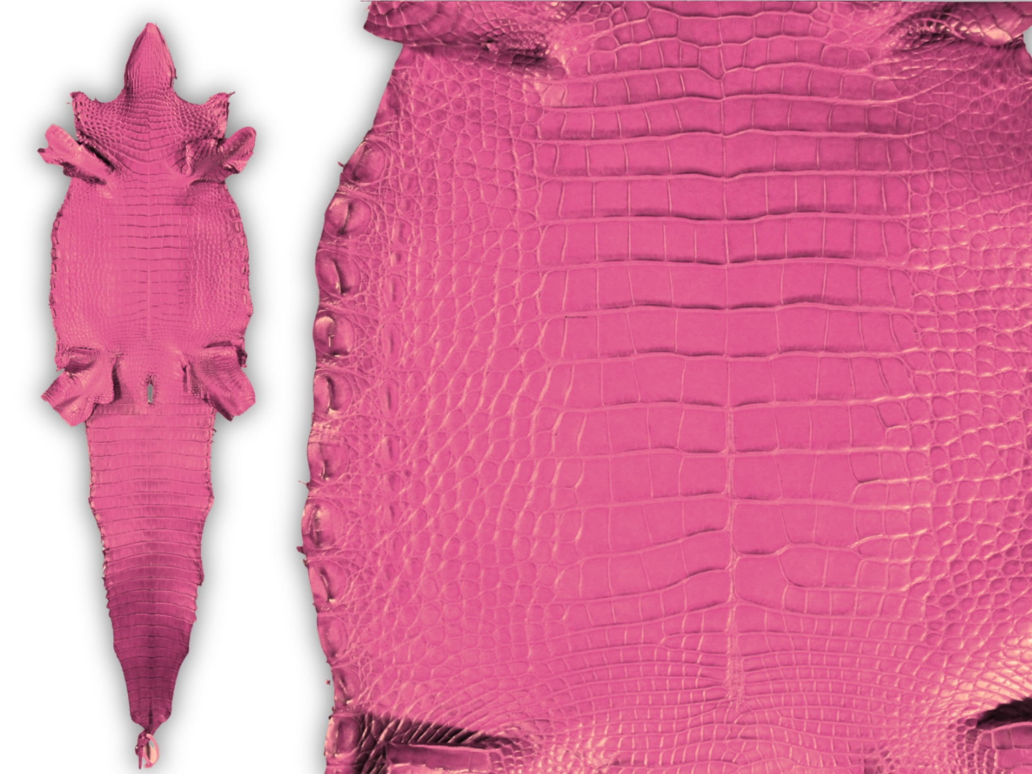 Alligator Leather Hide - Pink