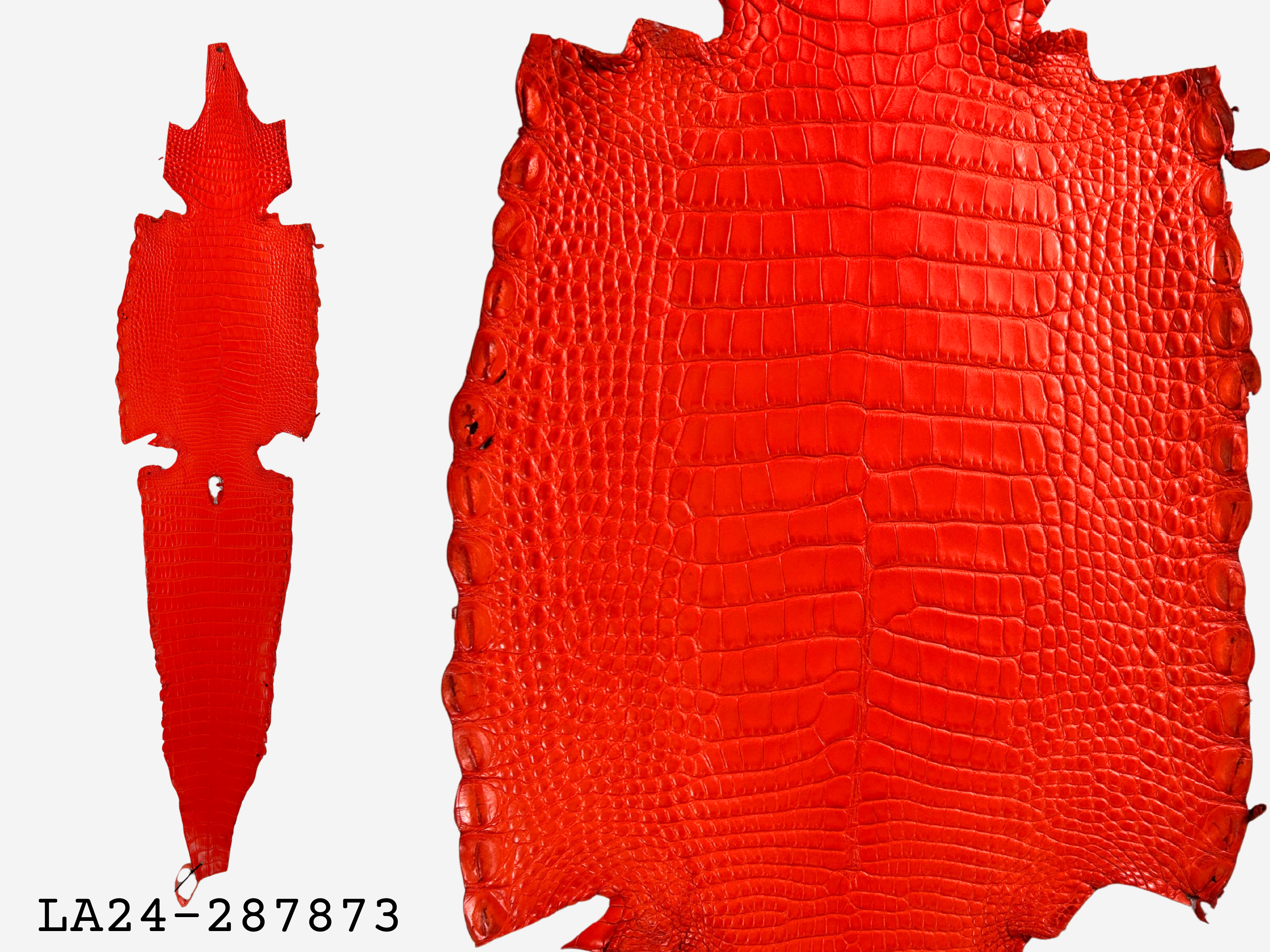 Alligator Leather Hide - Orange
