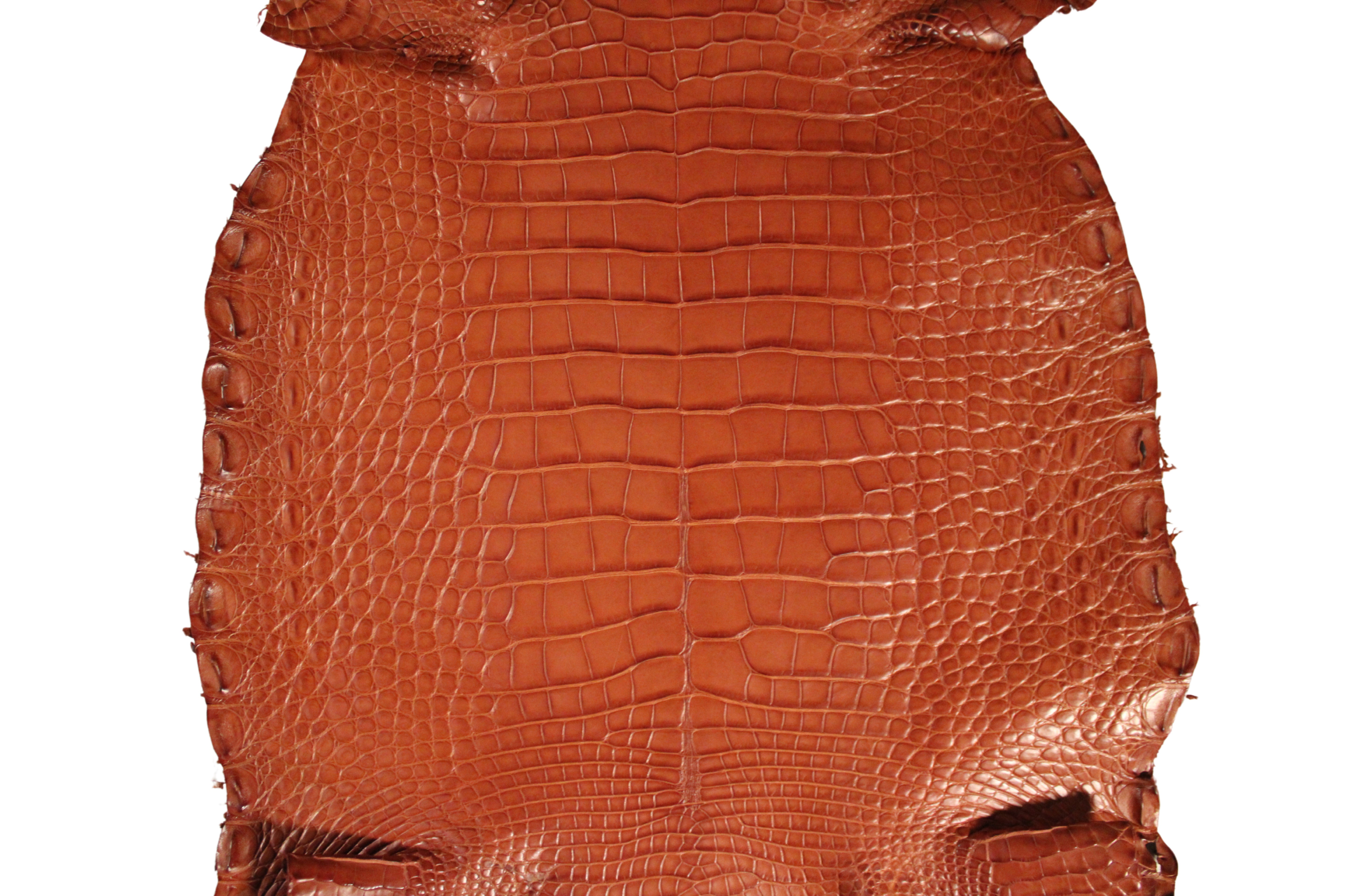 Alligator Leather Hide - Cognac