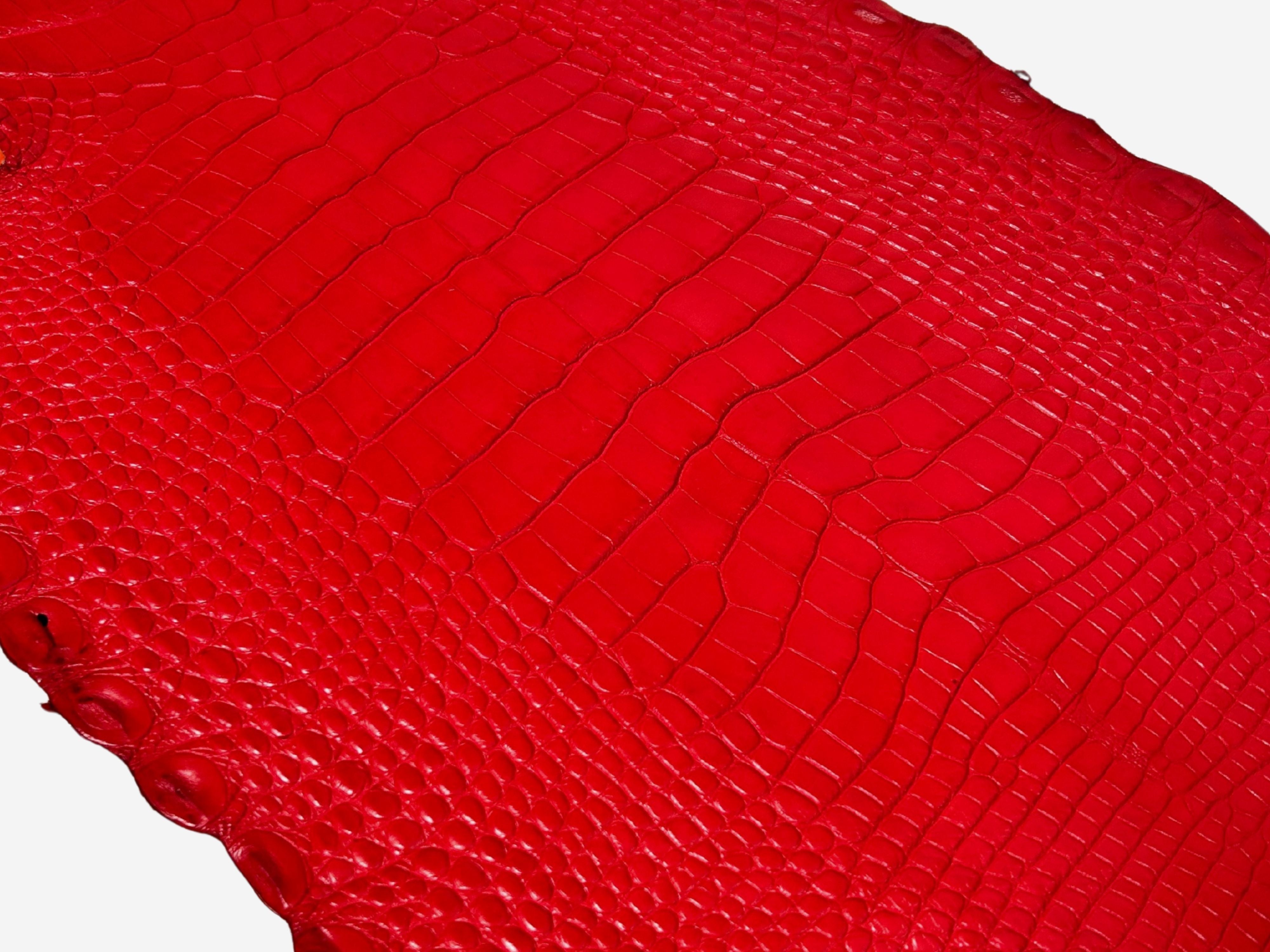 Alligator Leather Hide - Red