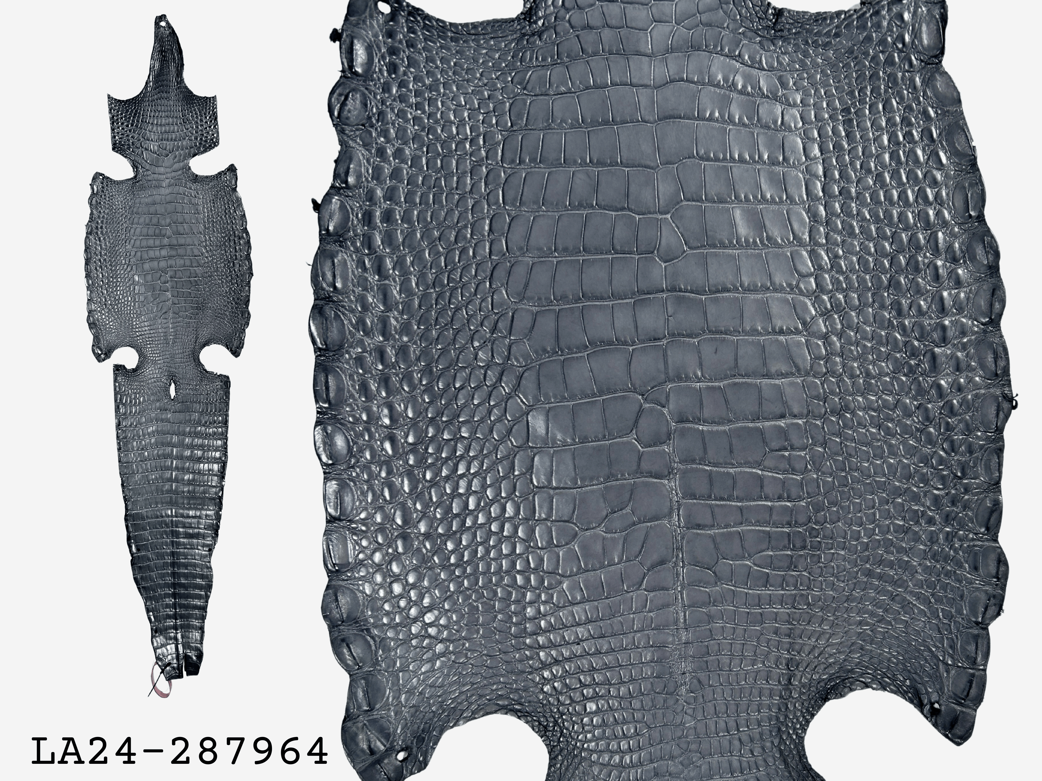 Alligator Leather Hide - Grey