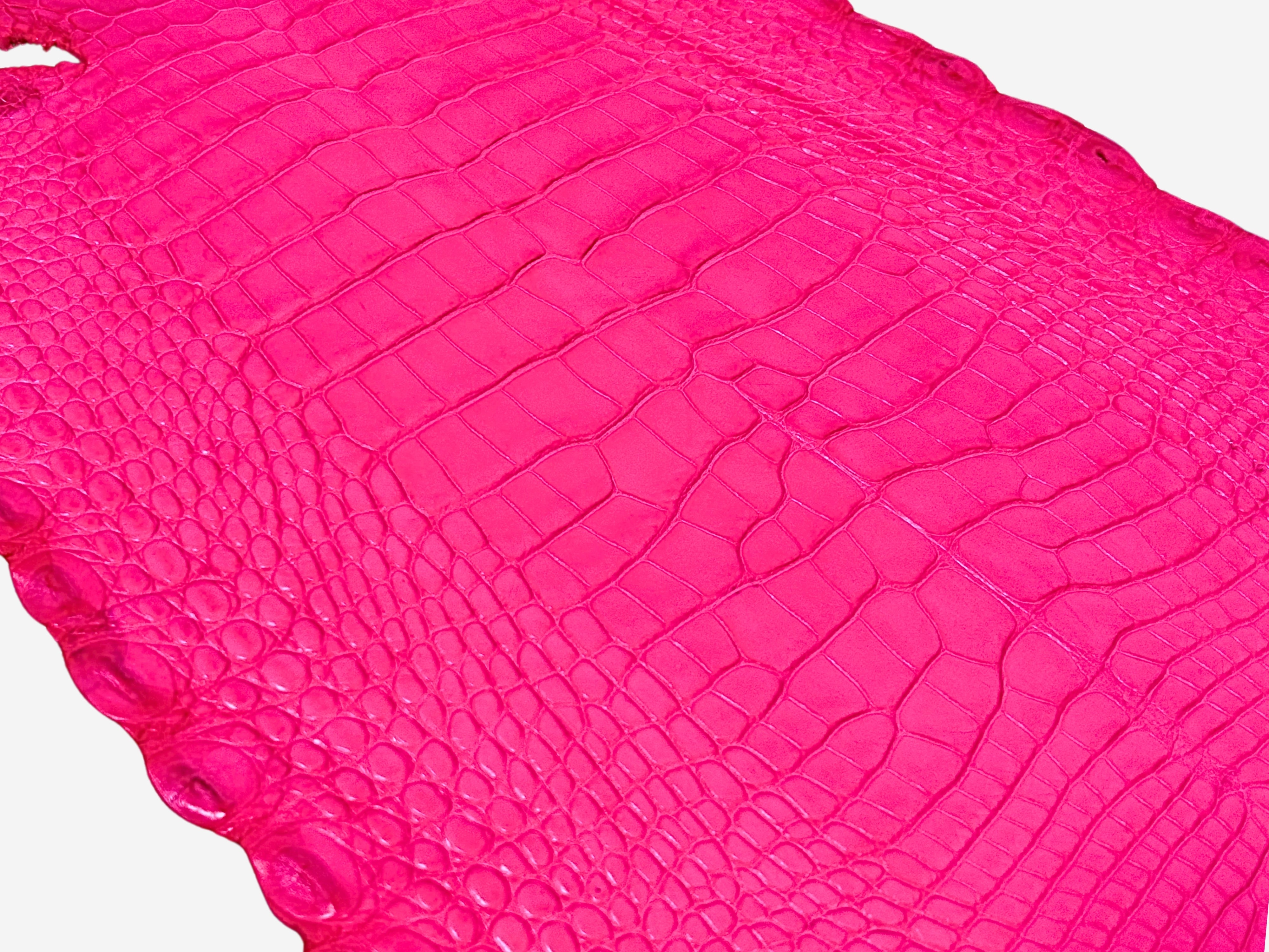 Alligator Leather Hide - Pink