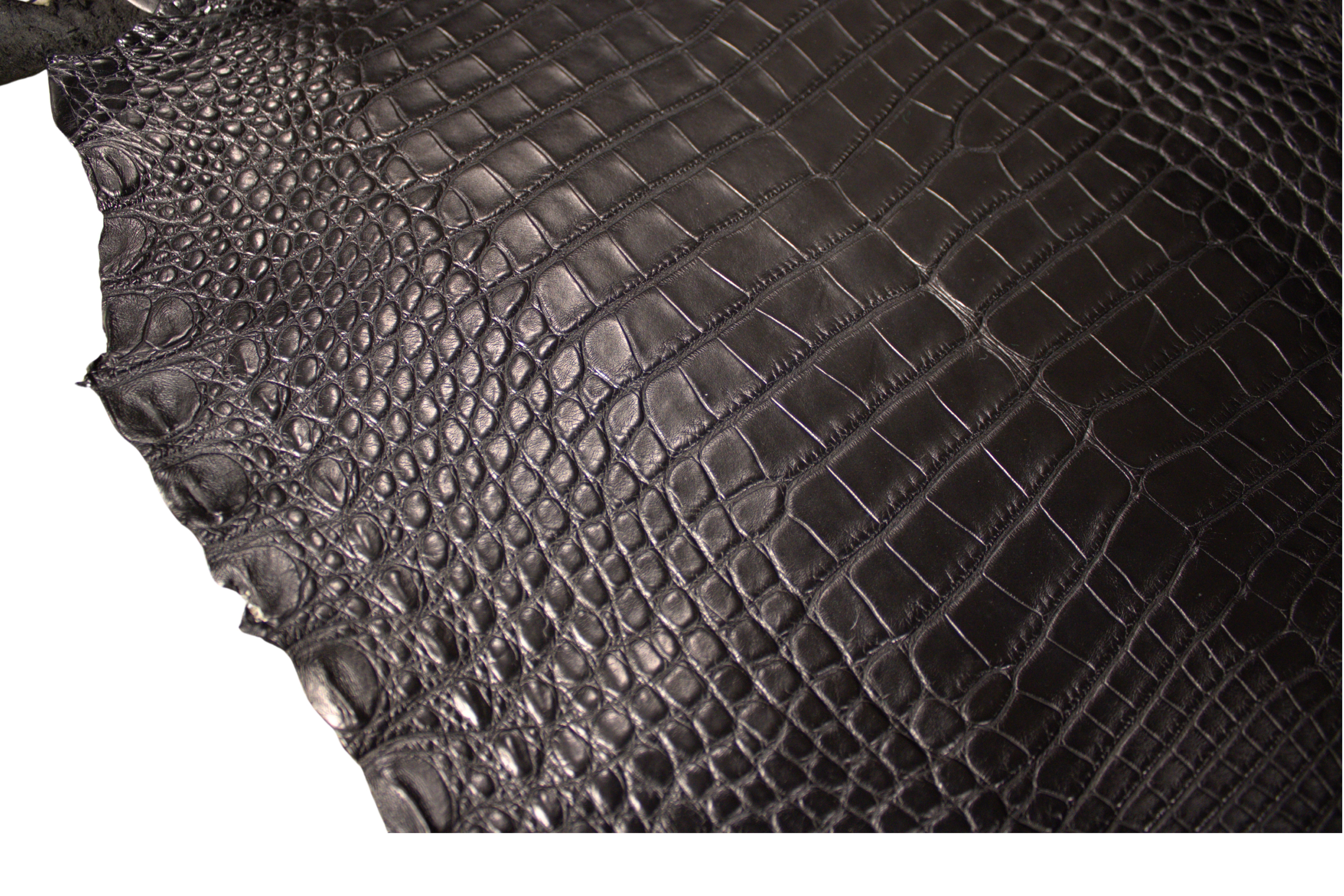 Alligator Leather Hide - Black