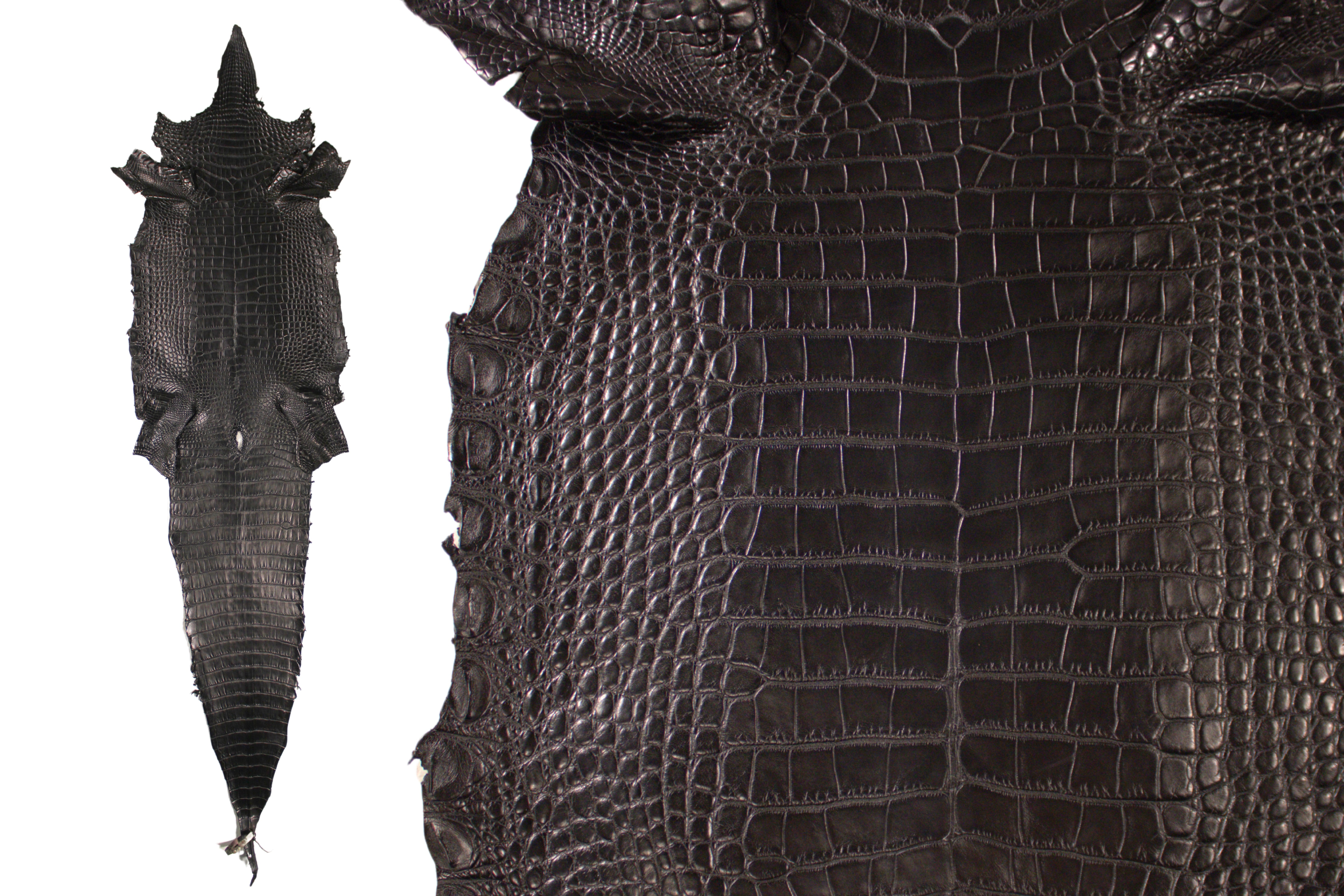 Alligator Leather Hide - Black