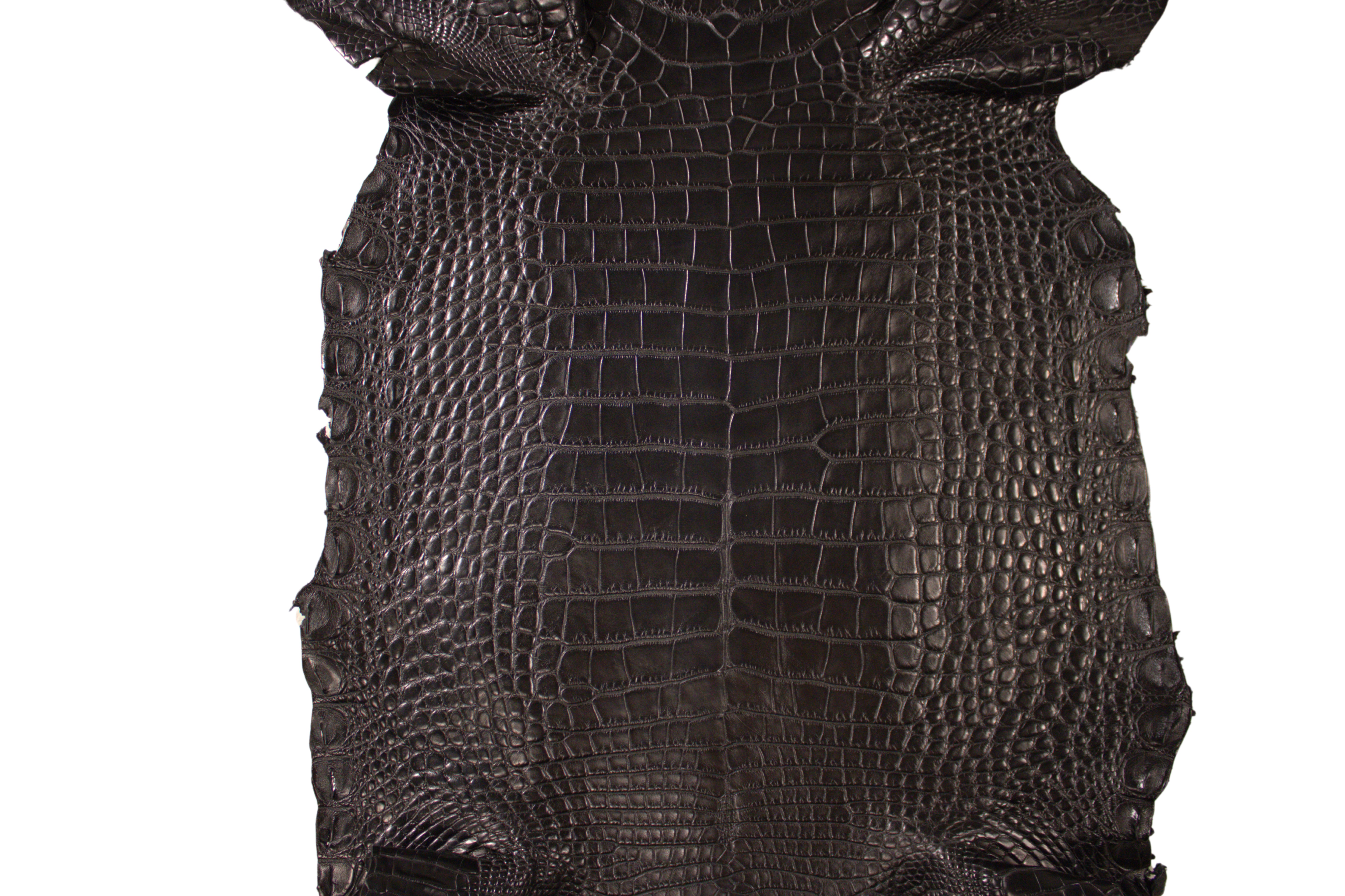 Alligator Leather Hide - Black