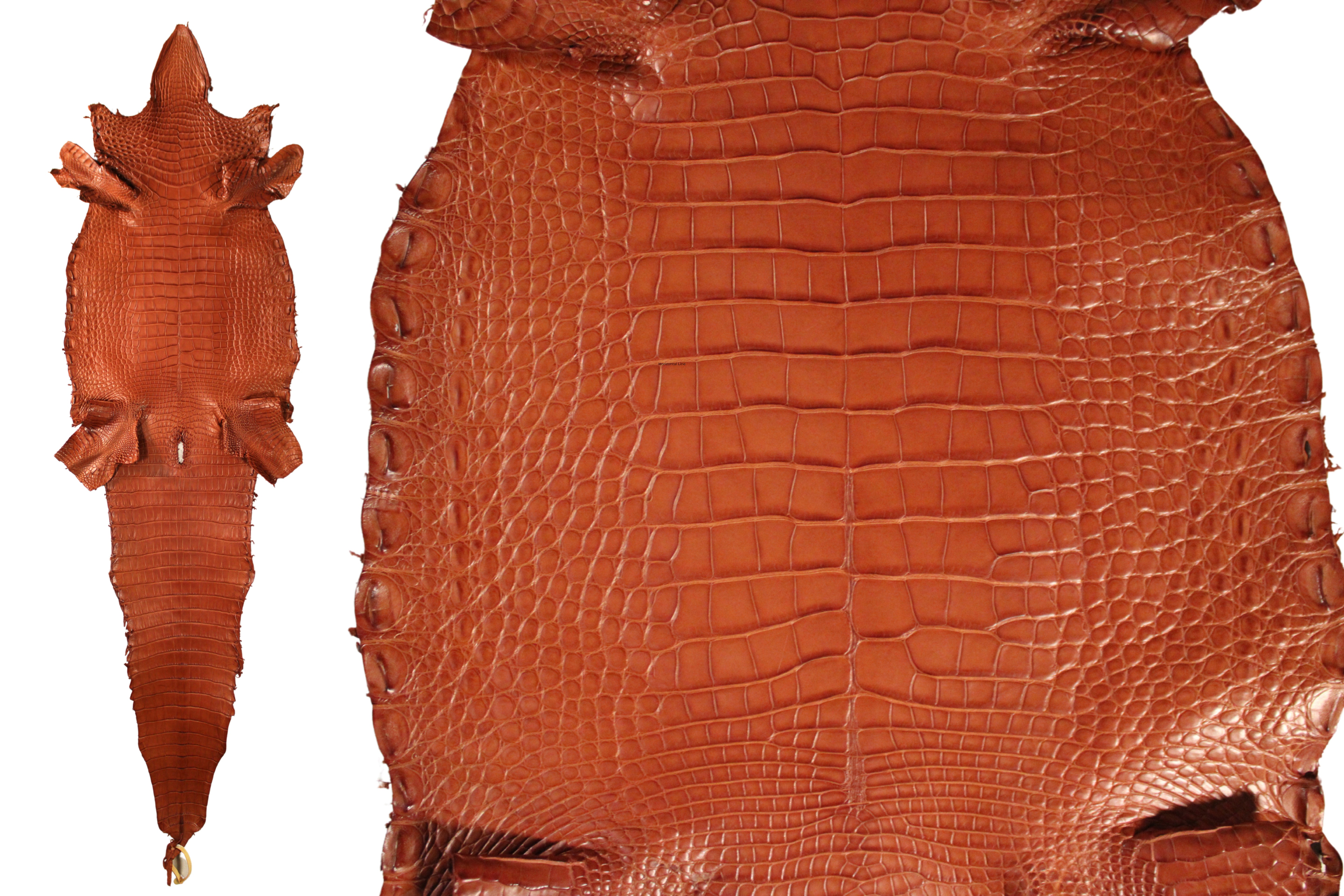 Alligator Leather Hide - Cognac