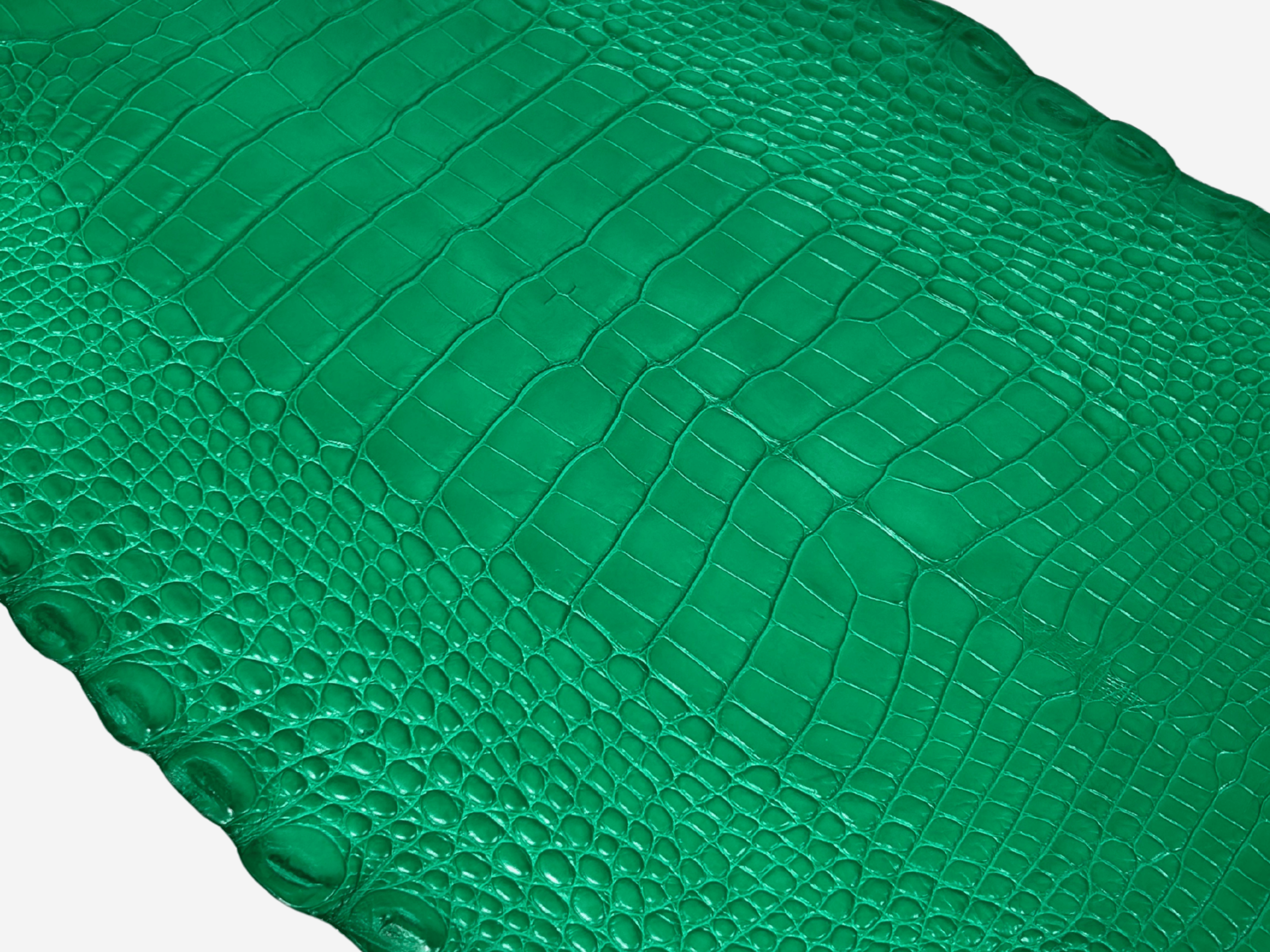 Alligator Leather Hide - Green