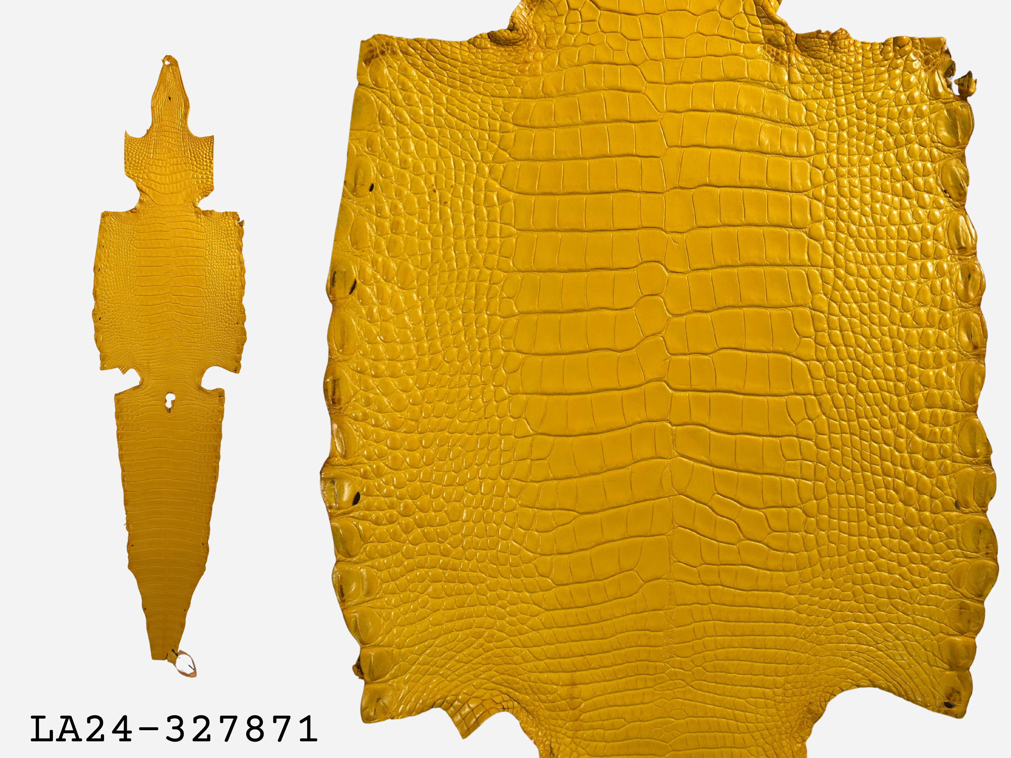 Alligator Leather Hide - Yellow