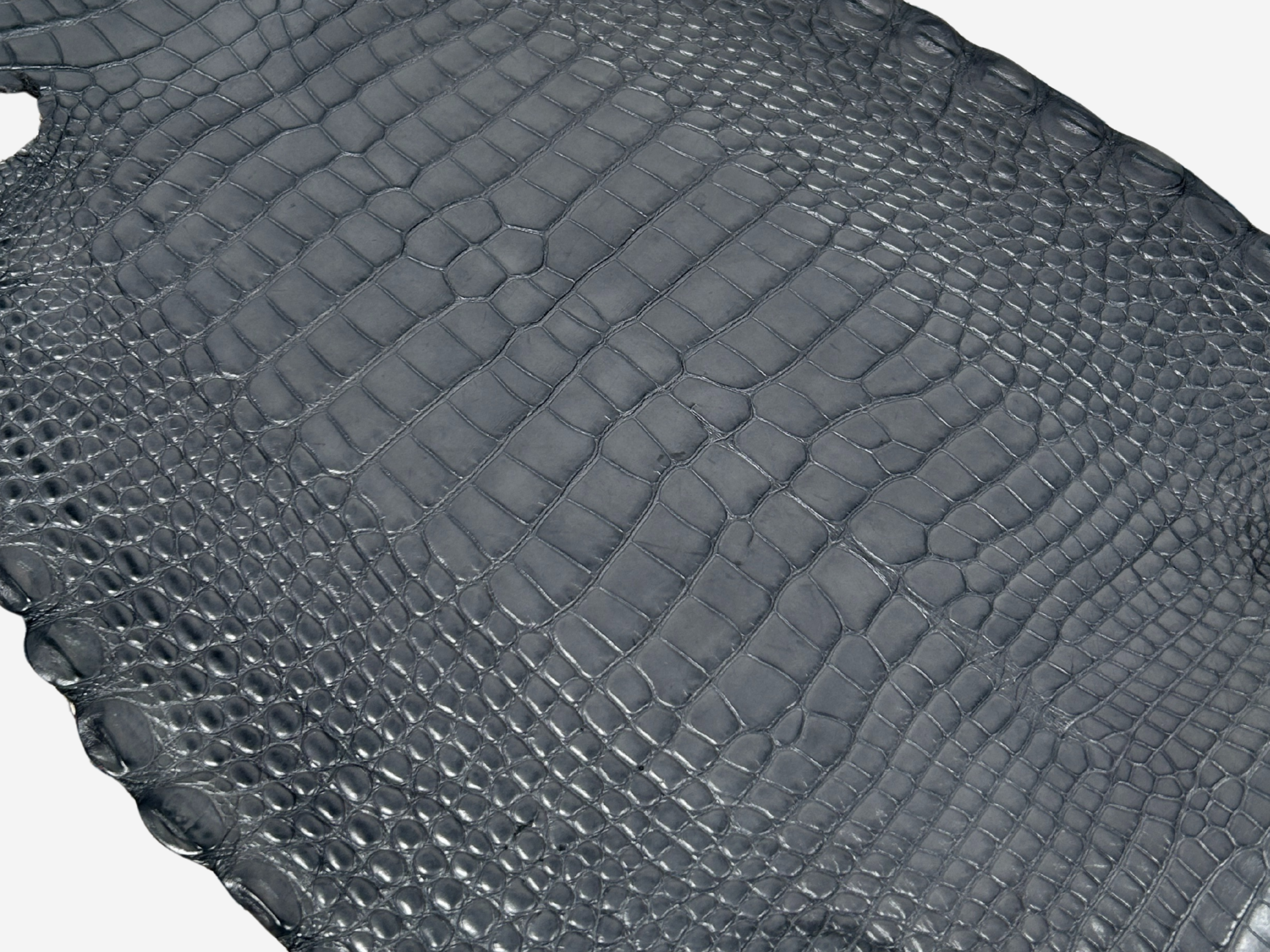 Alligator Leather Hide - Grey