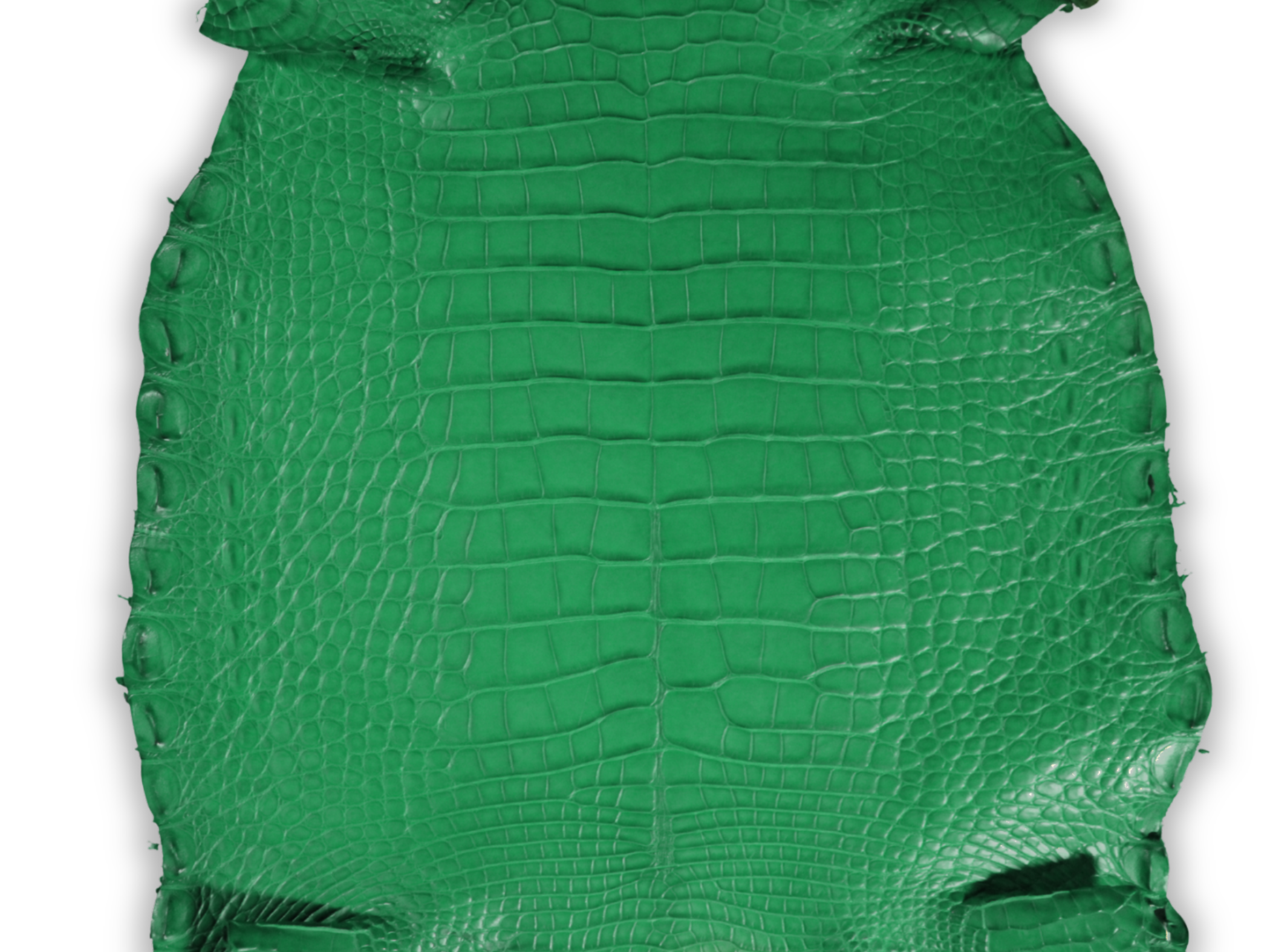 Alligator Leather Hide - Green