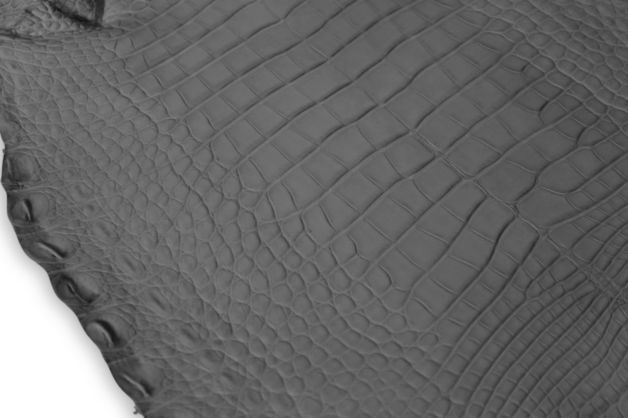 Alligator Leather Hide - Gray