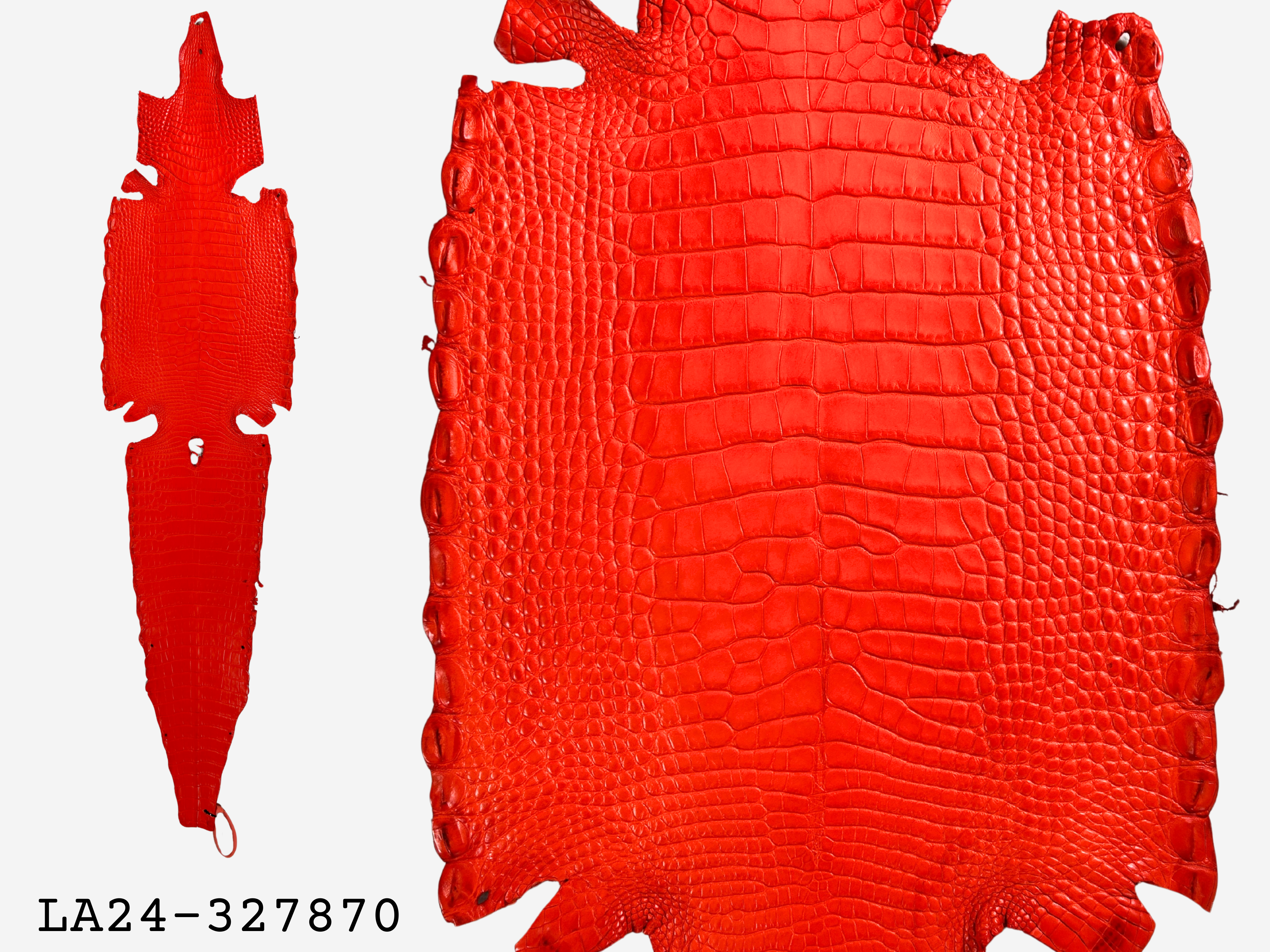 Alligator Leather Hide - Orange