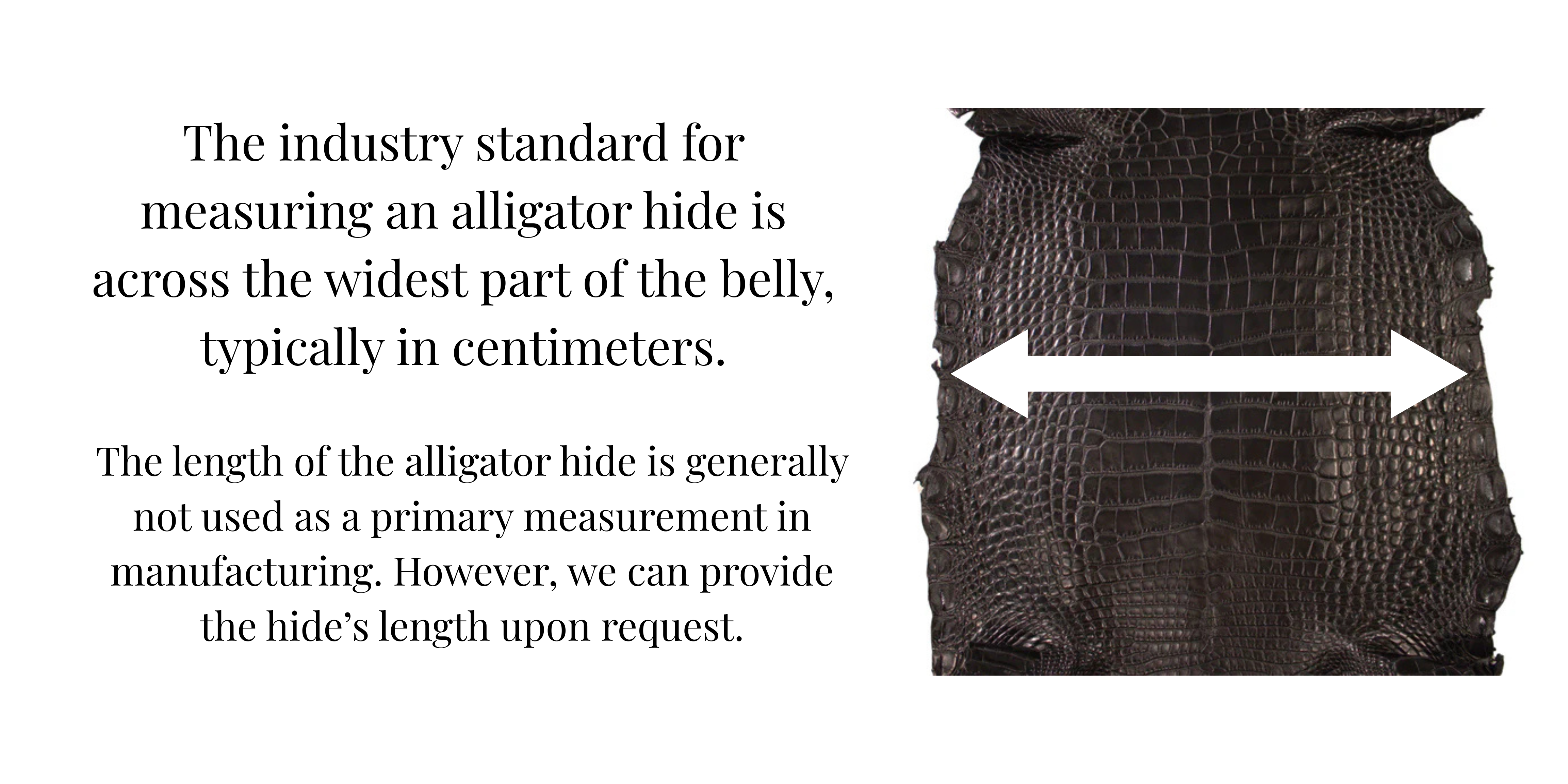 Alligator Leather Hide - Black