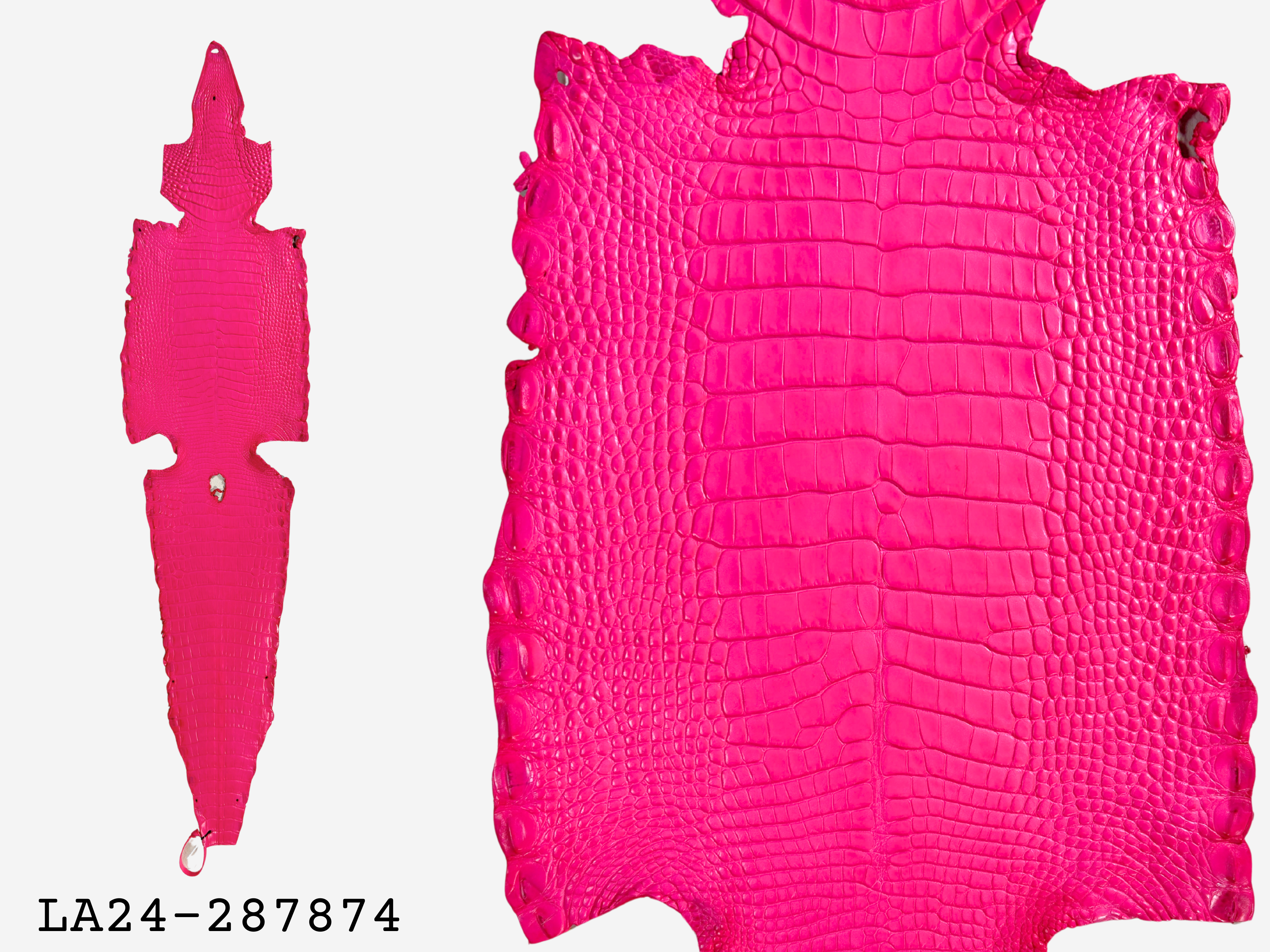 Alligator Leather Hide - Pink