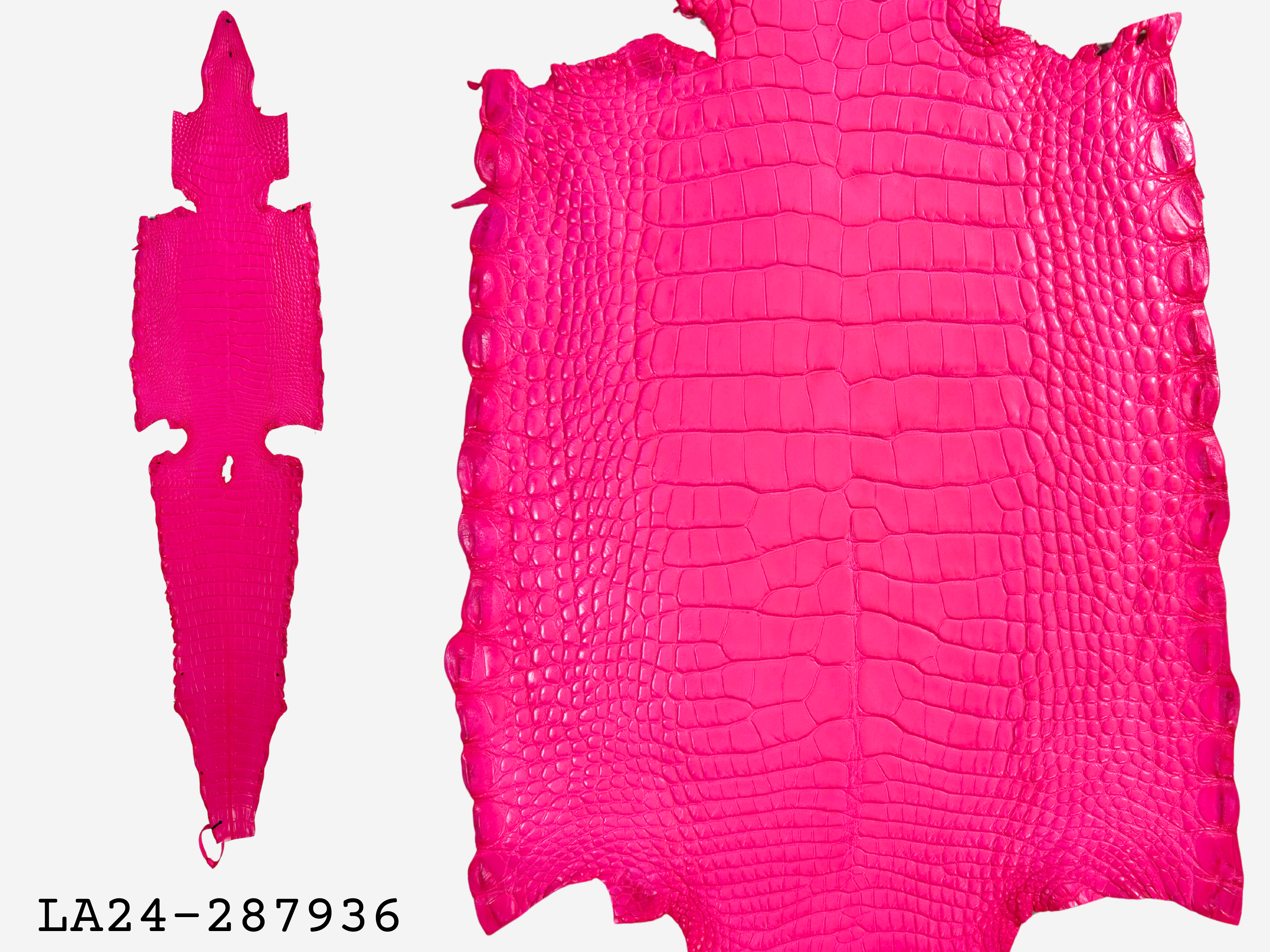 Alligator Leather Hide - Pink