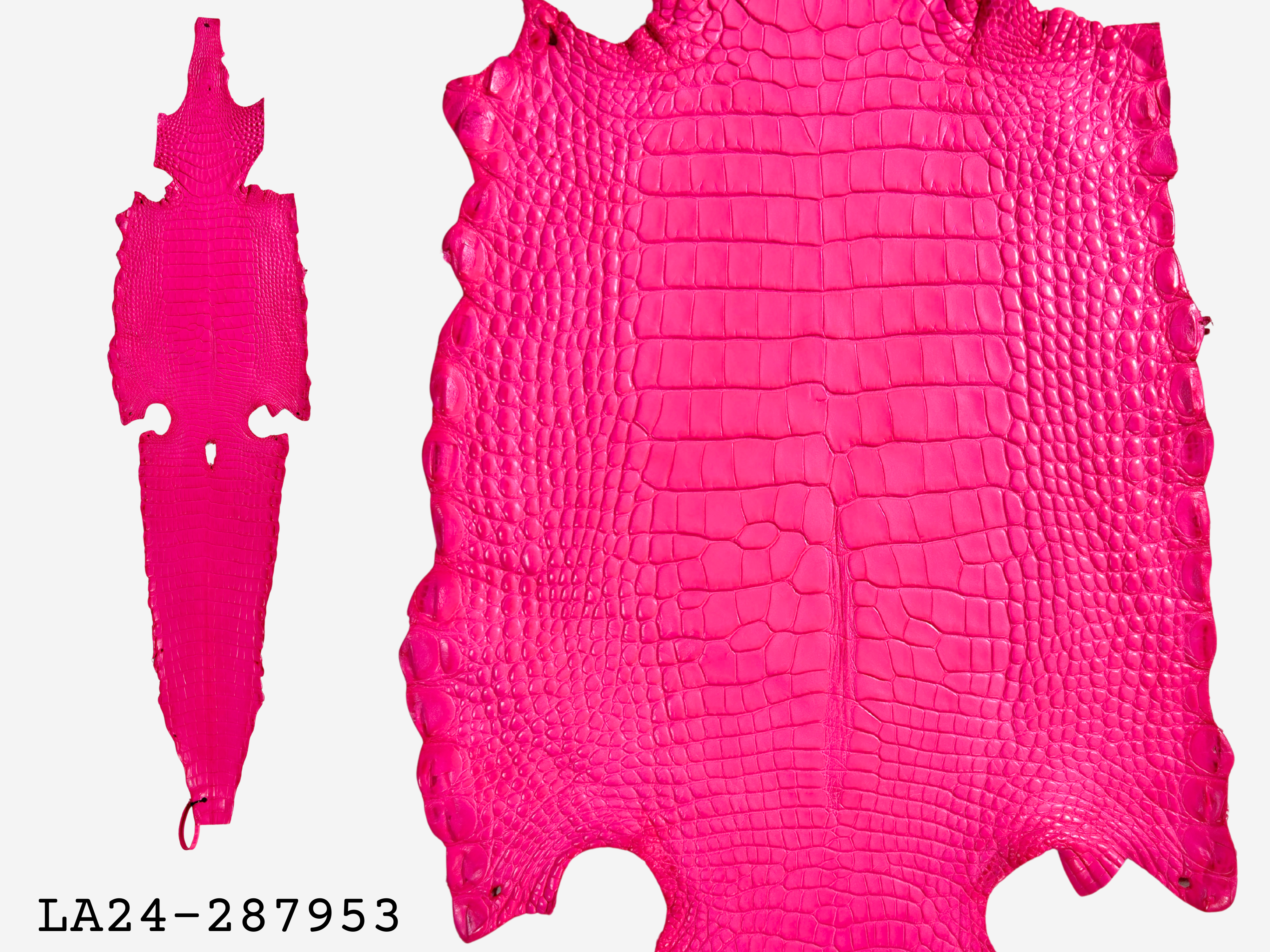Alligator Leather Hide - Pink