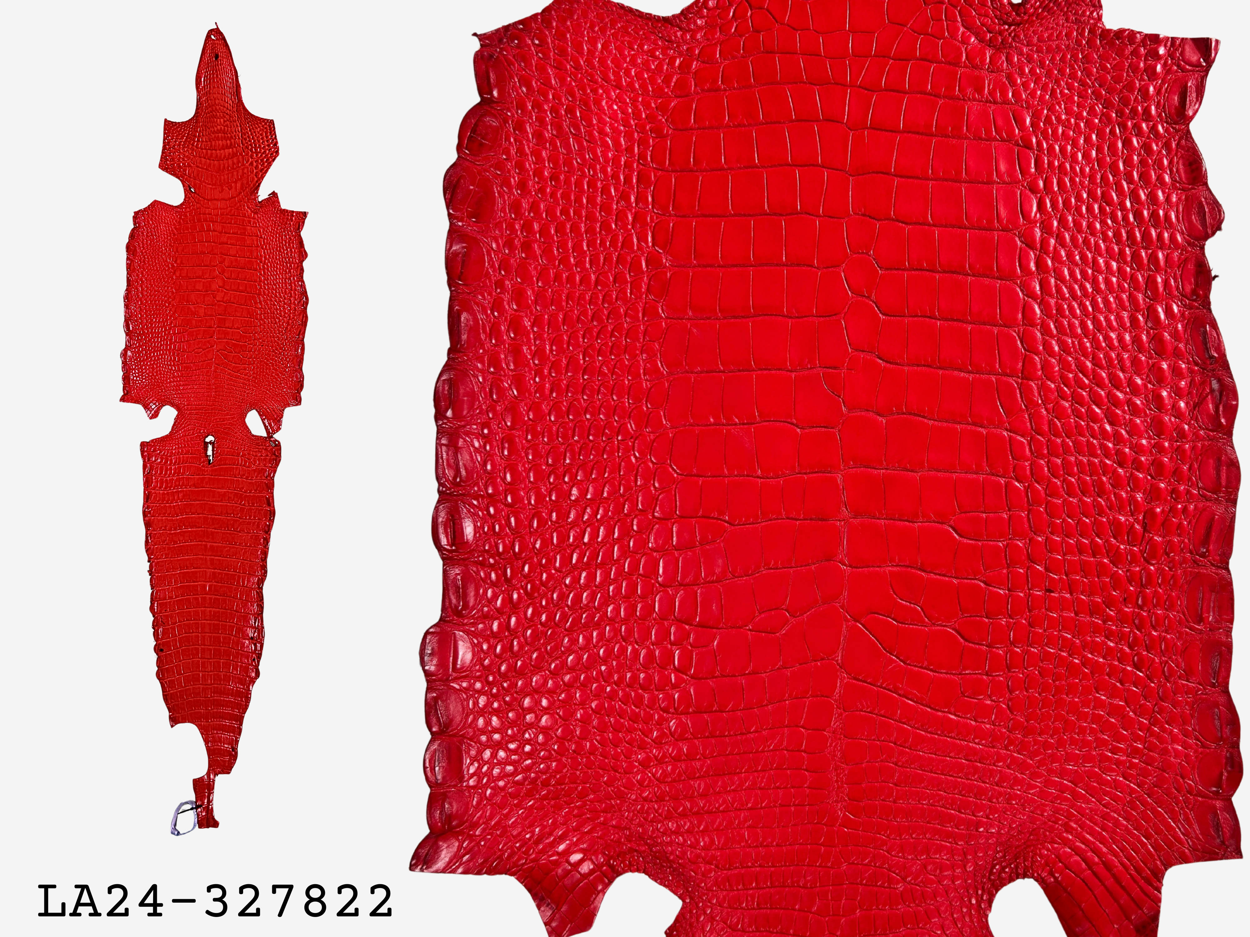 Alligator Leather Hide - Red