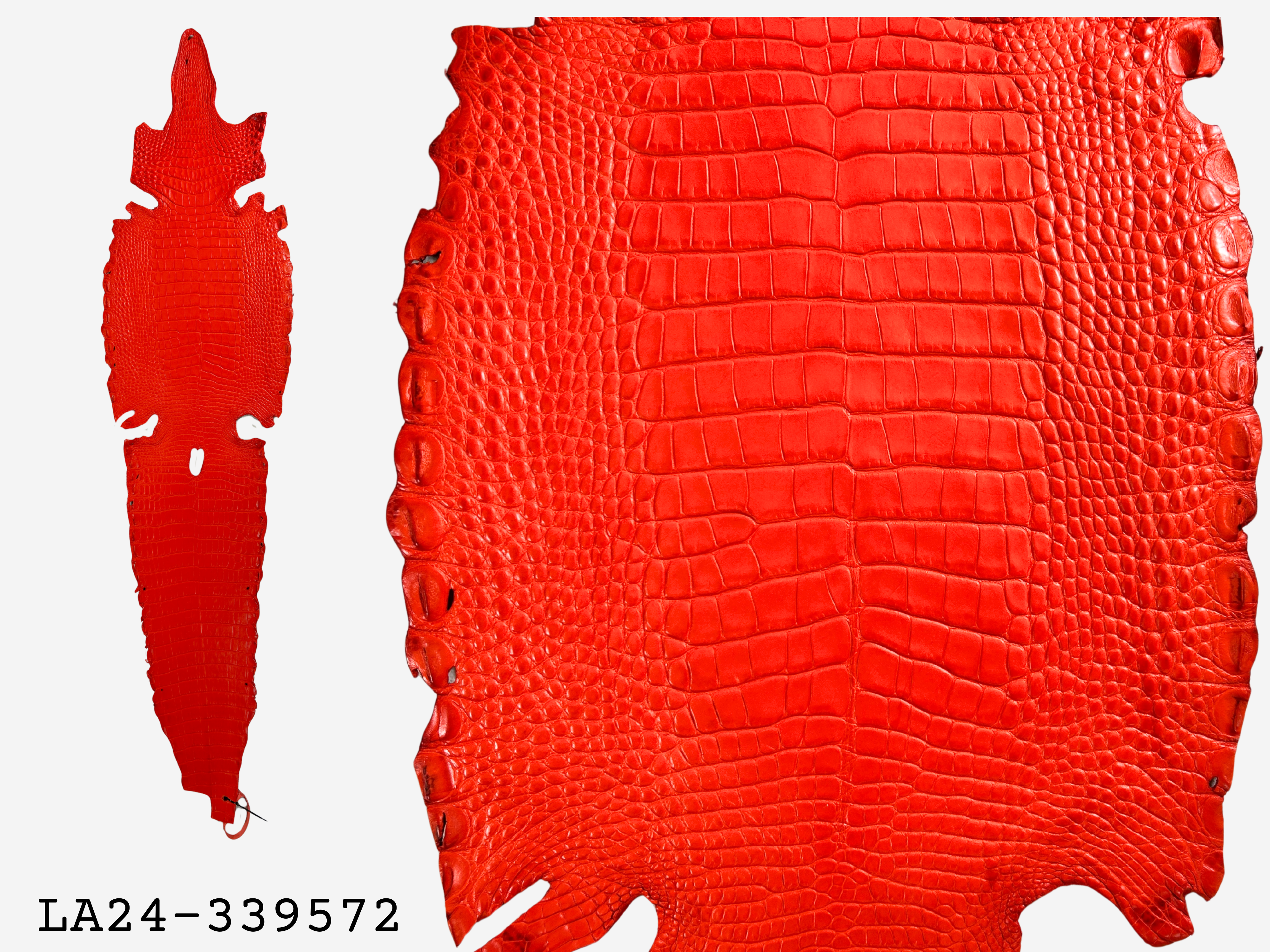 Alligator Leather Hide - Orange