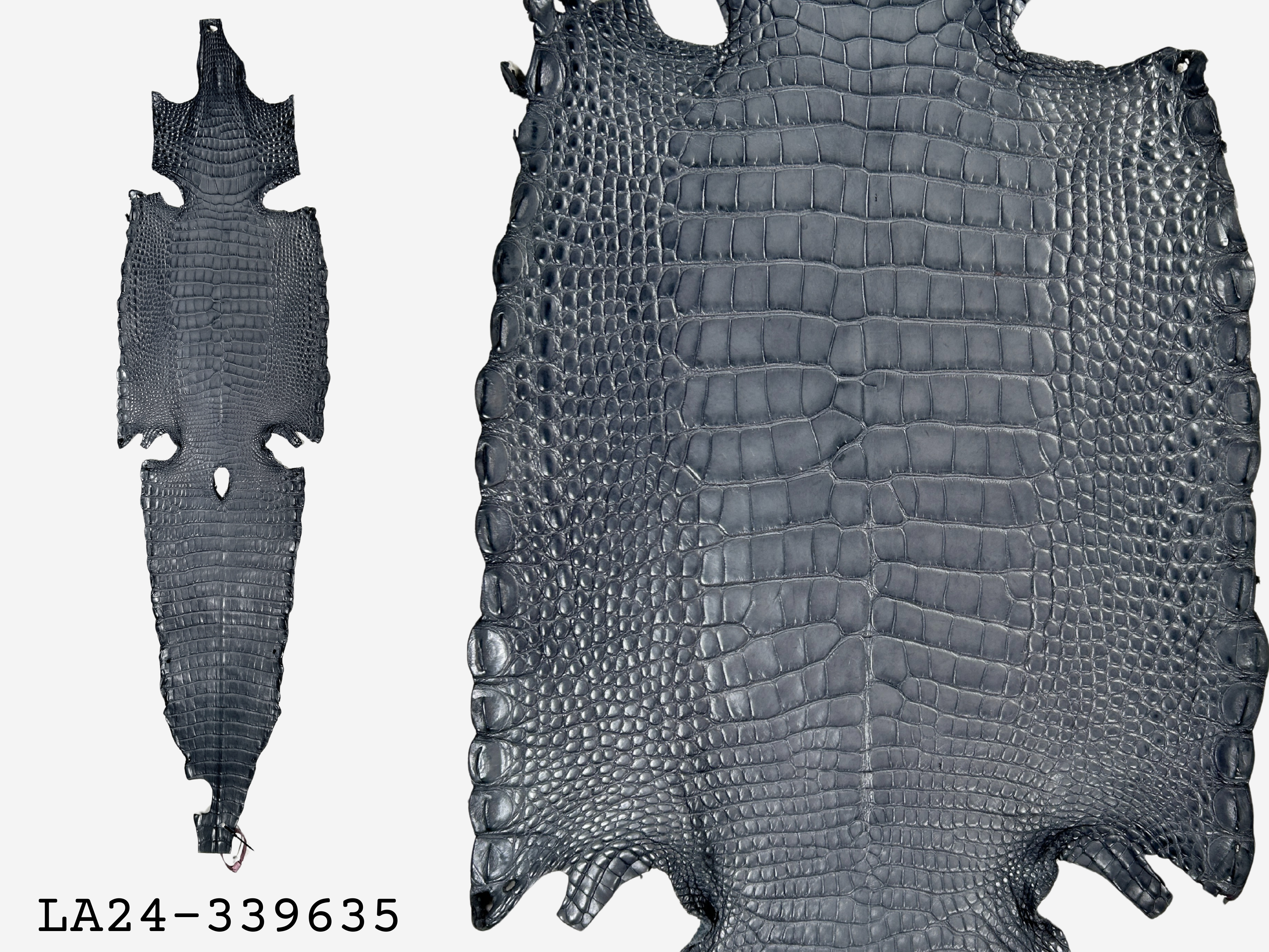 Alligator Leather Hide - Grey