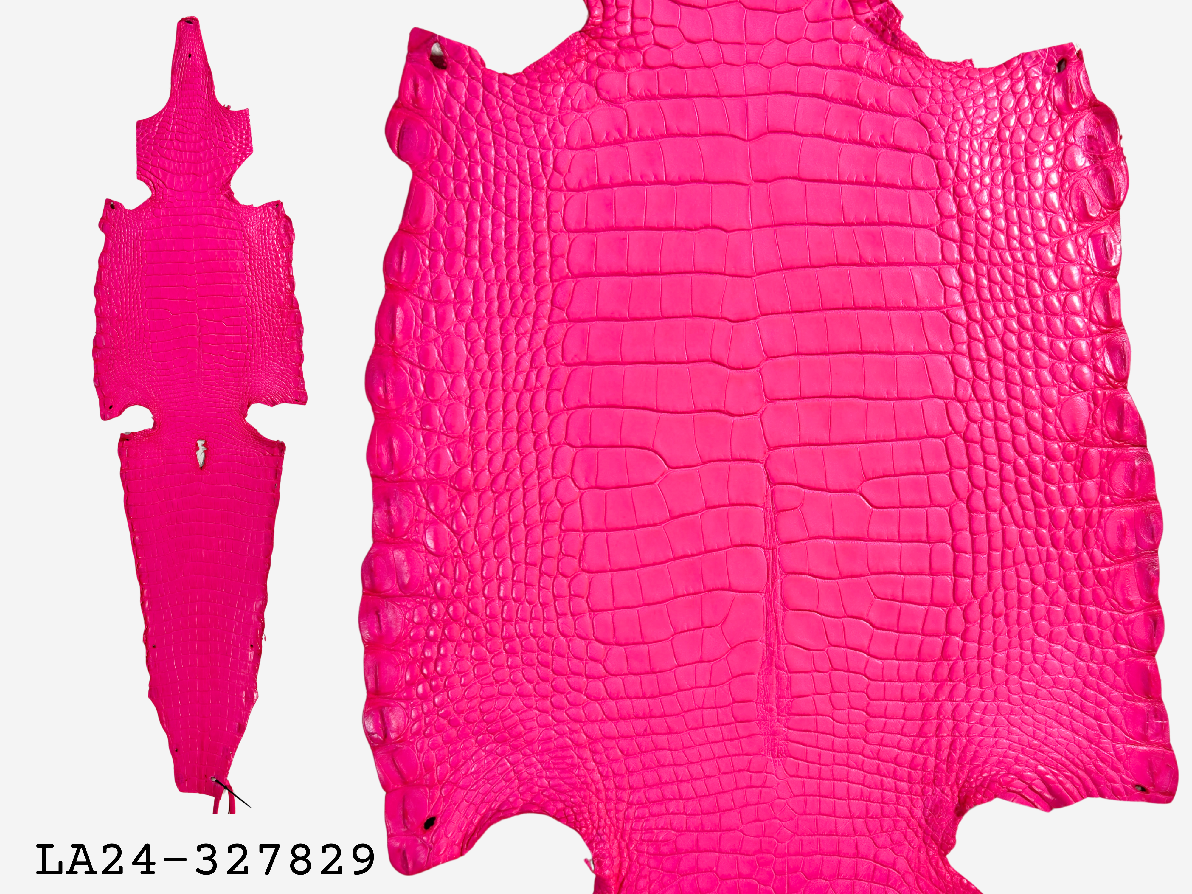 Alligator Leather Hide - Pink