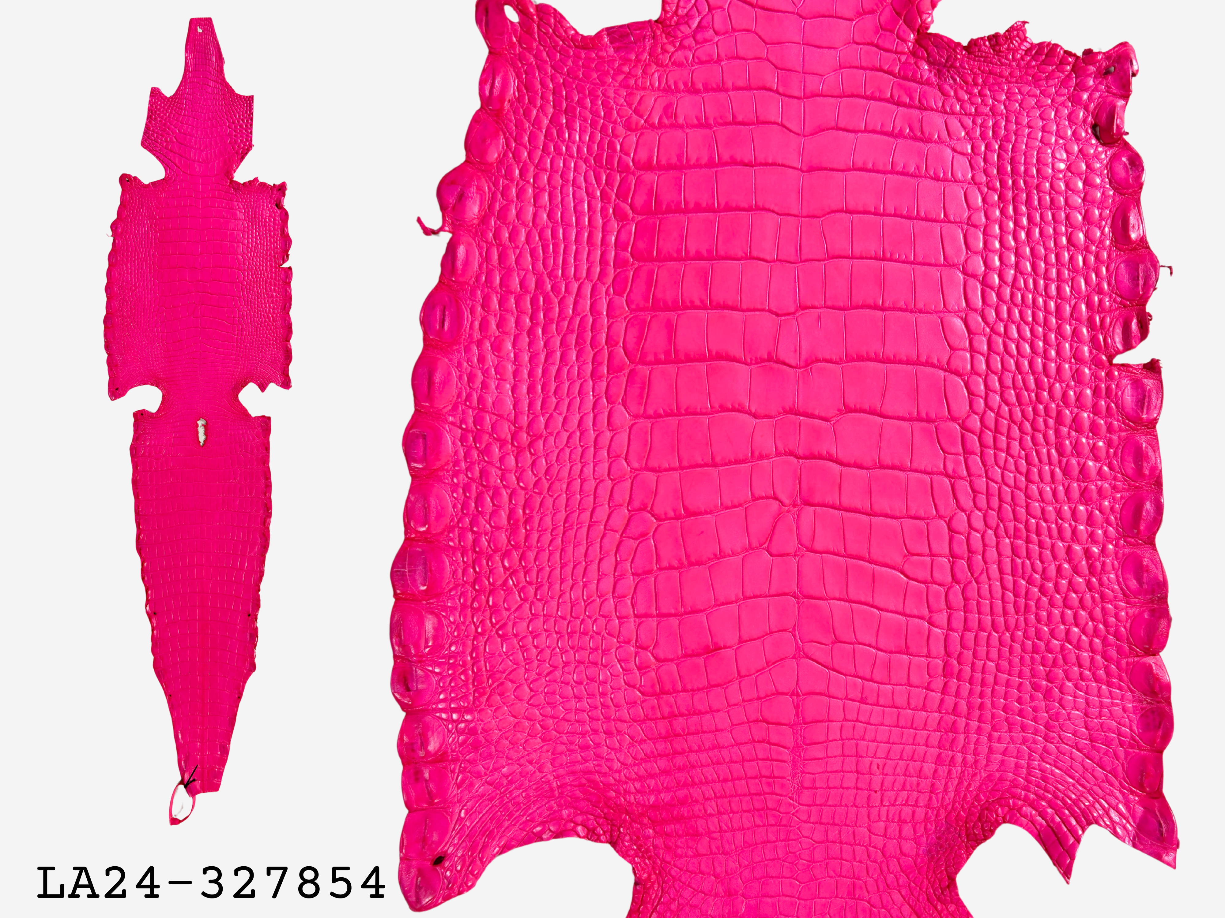 Alligator Leather Hide - Pink