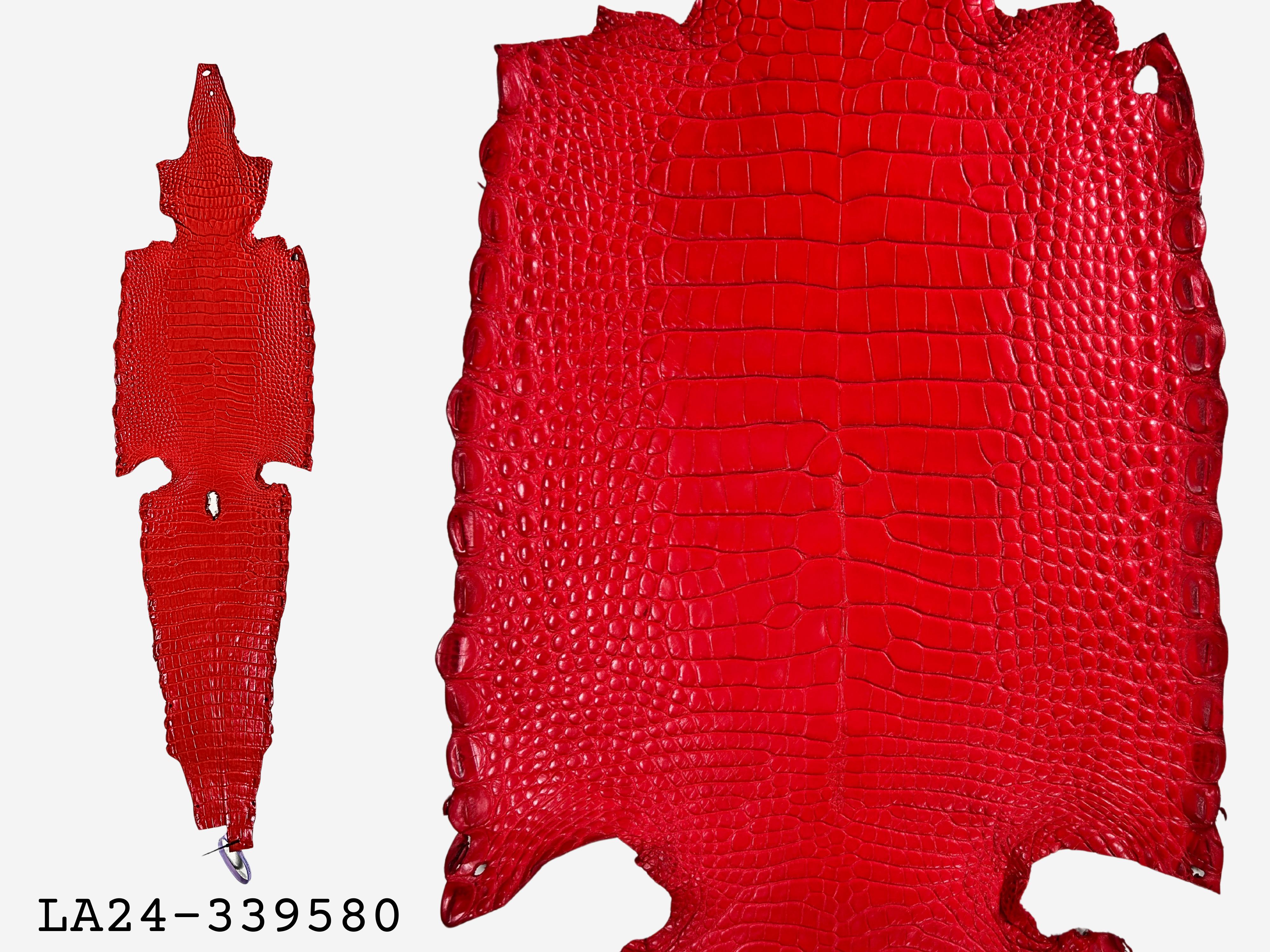 Alligator Leather Hide - Red